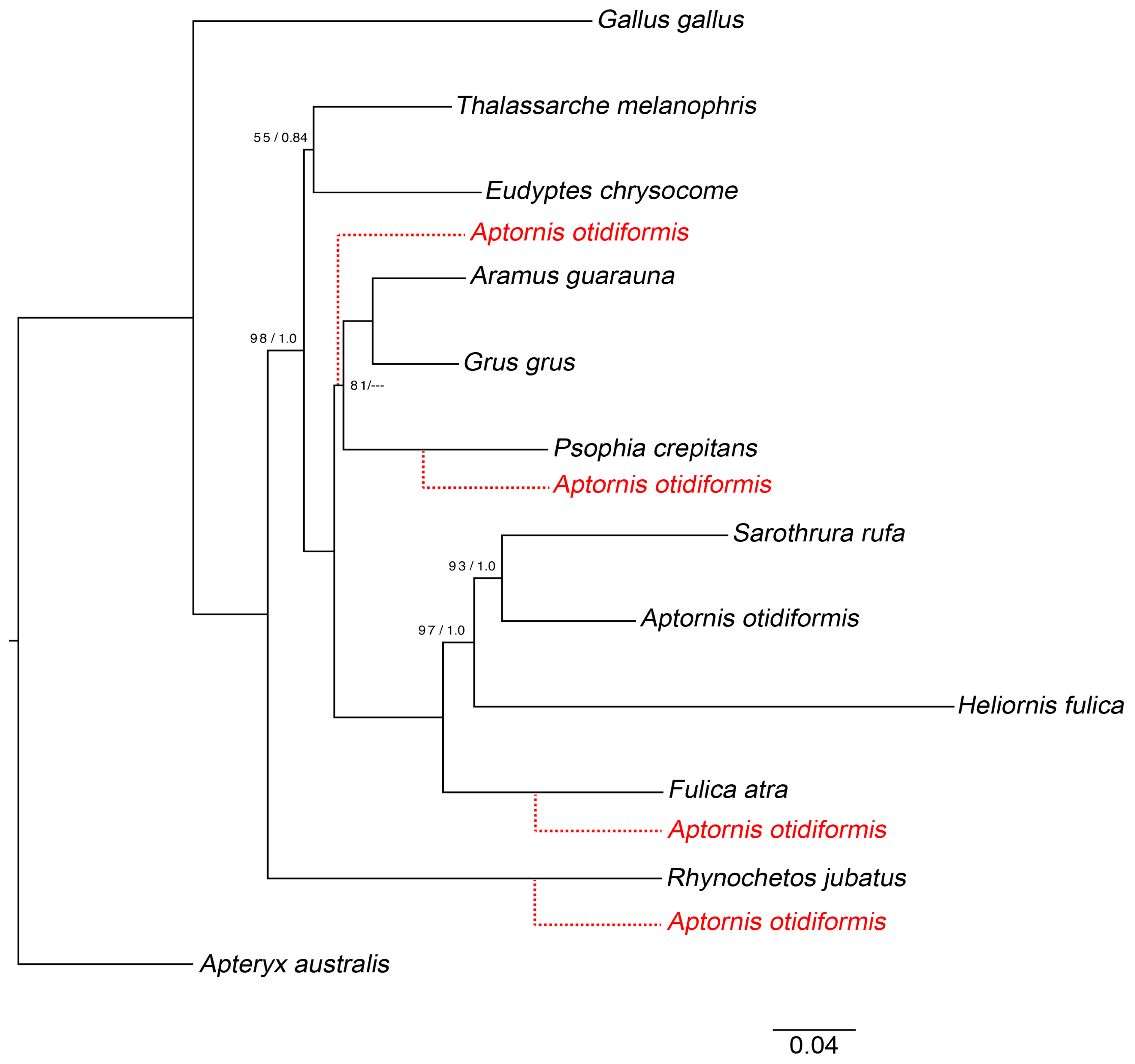 Diversity 11 00024 g001 Diversity 11 00024 g001