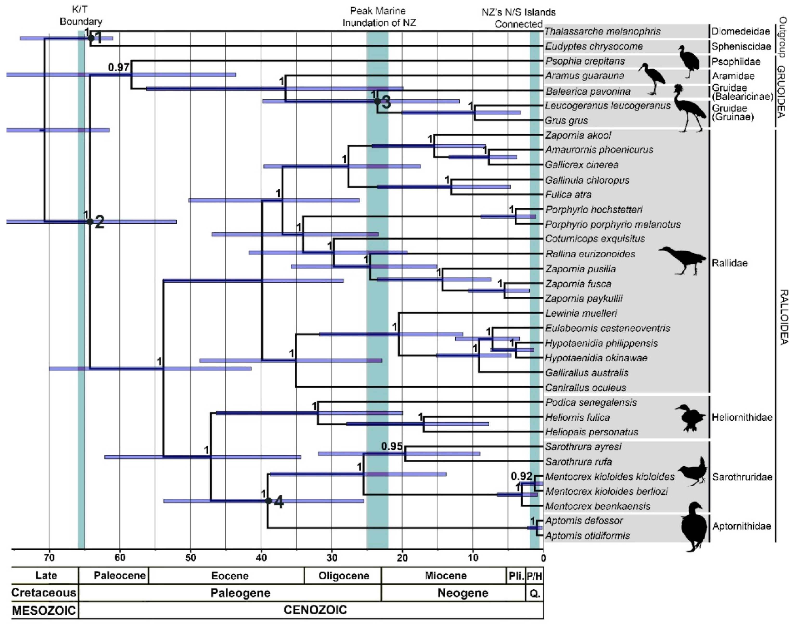 Diversity 11 00024 g002 Diversity 11 00024 g002