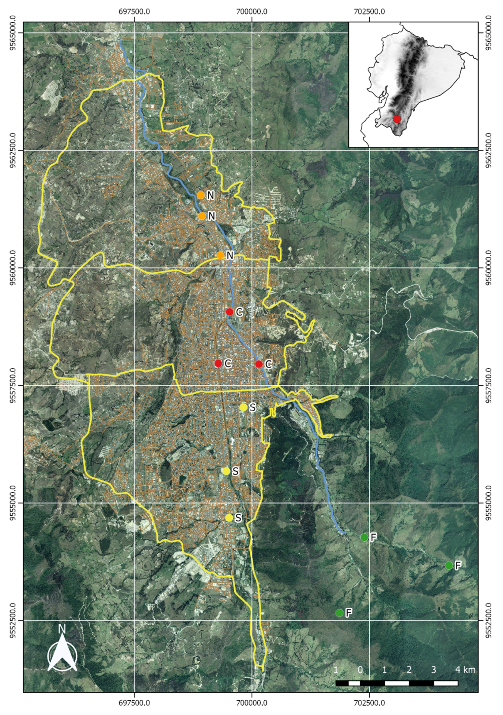 Diversity 11 00028 g001