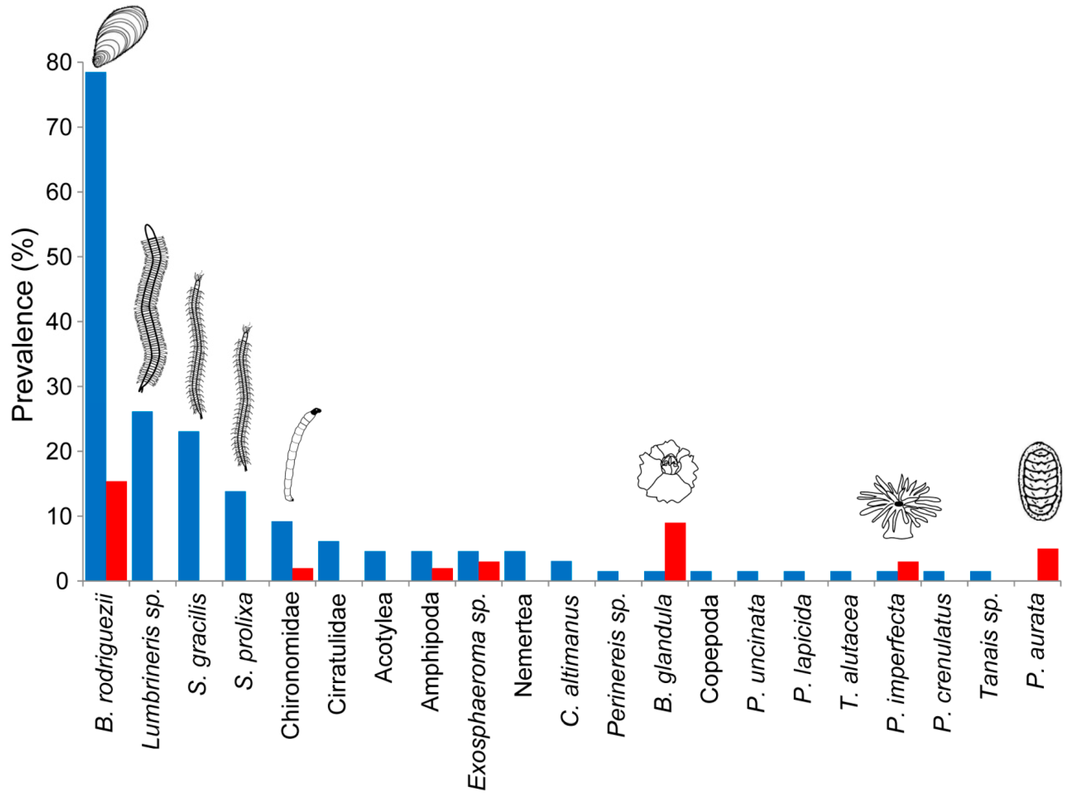 Diversity 11 00039 g003