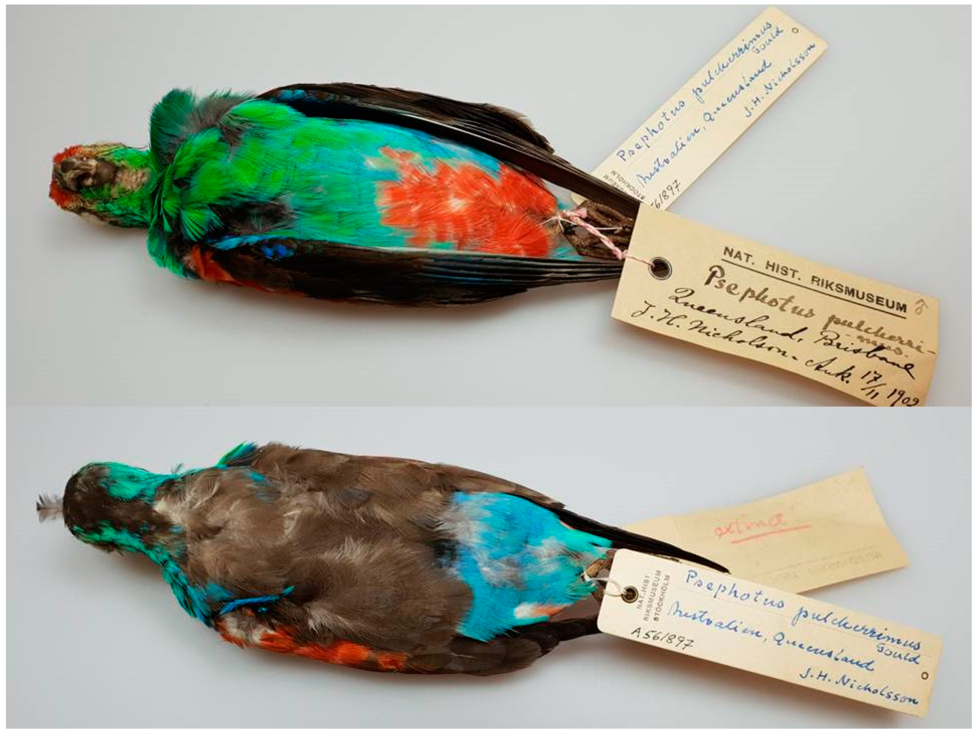 Diversity 11 00058 g001 Diversity 11 00058 g001