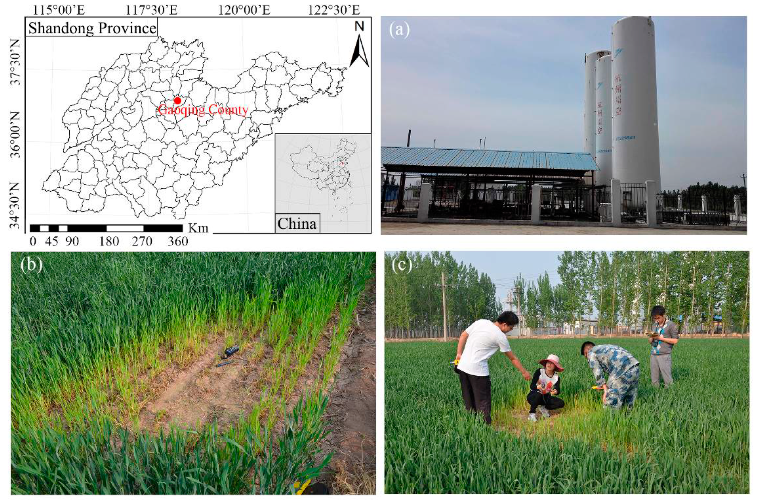 Diversity 11 00077 g001