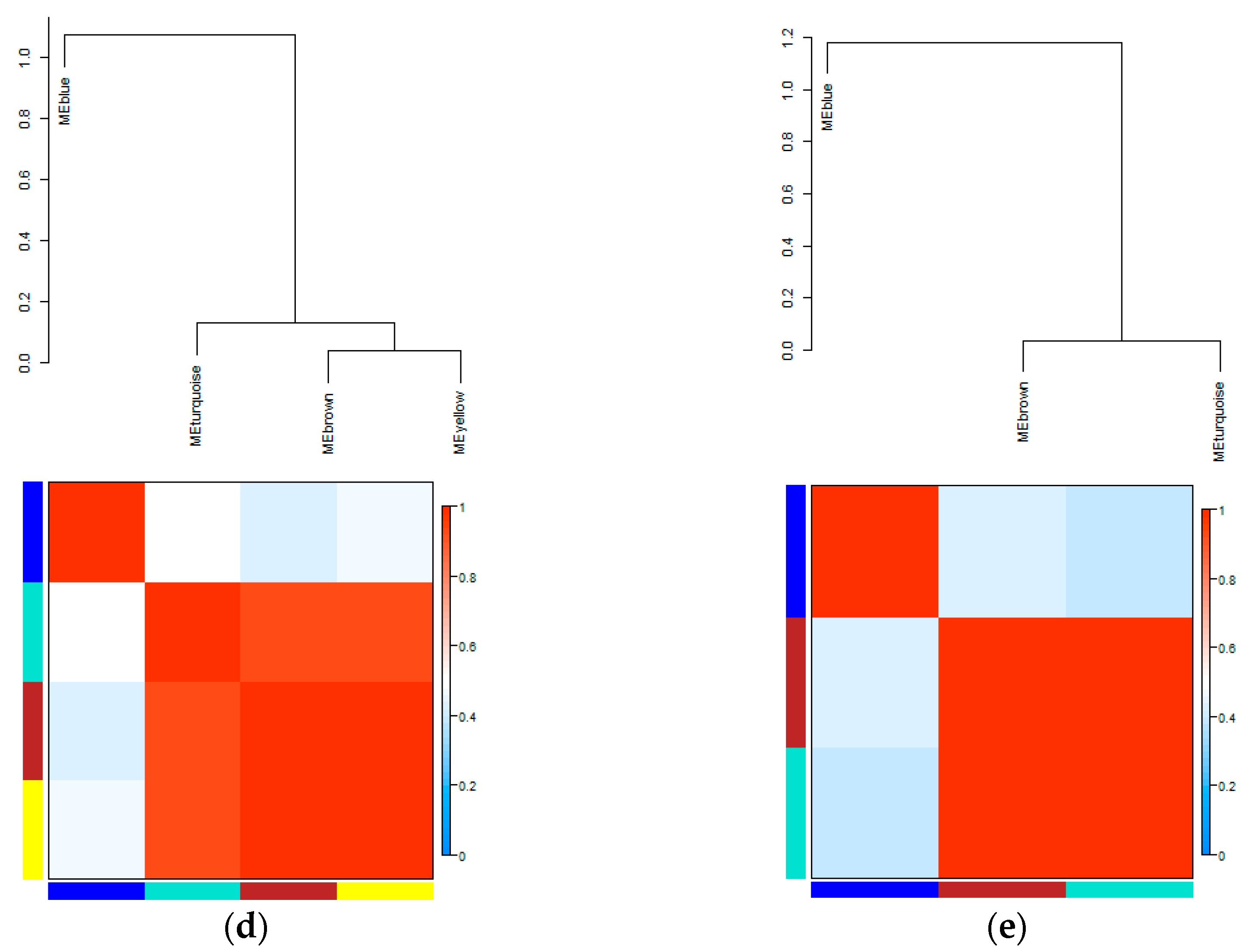 Diversity 11 00077 g007b