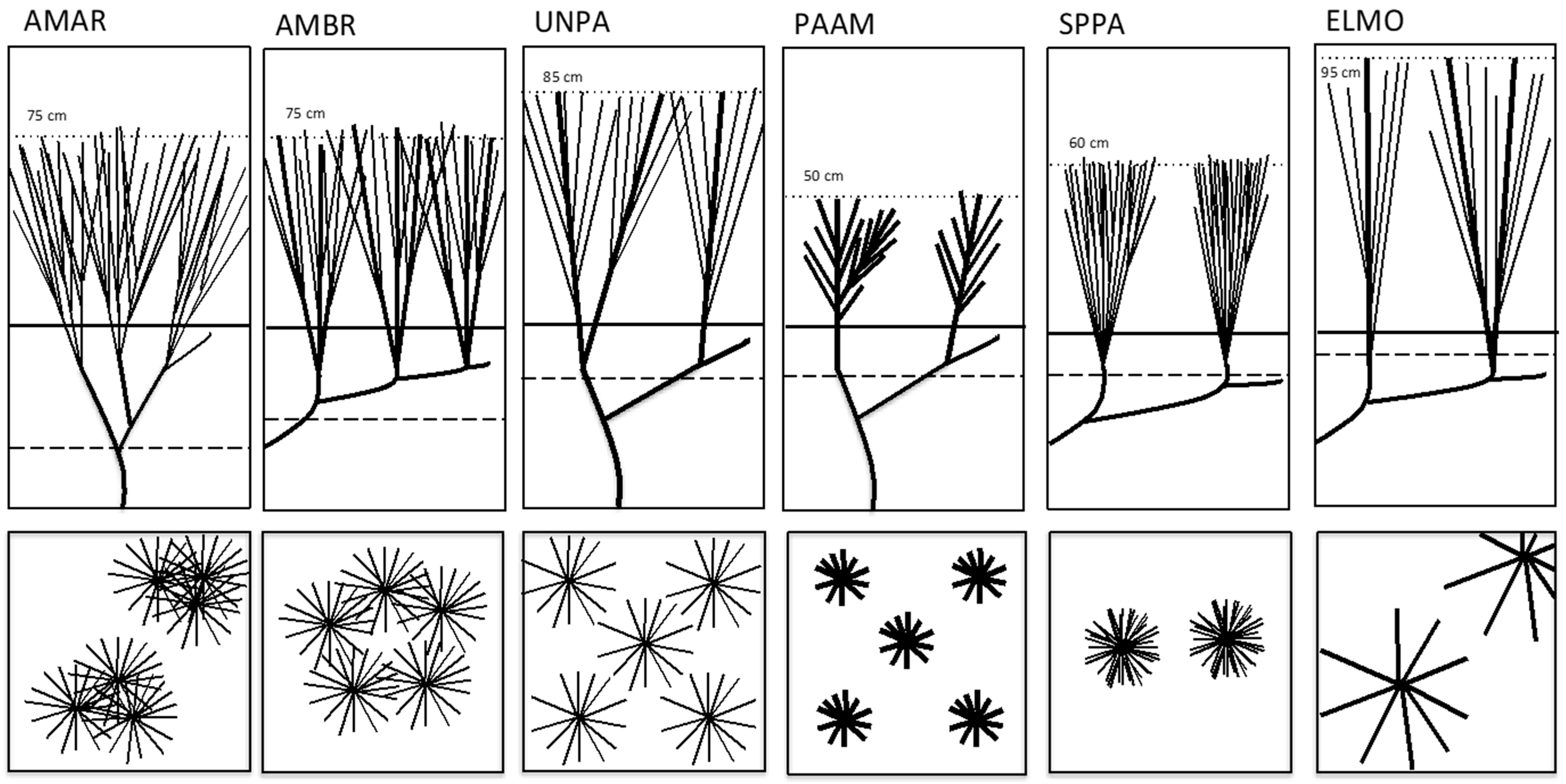 Diversity 11 00082 g009