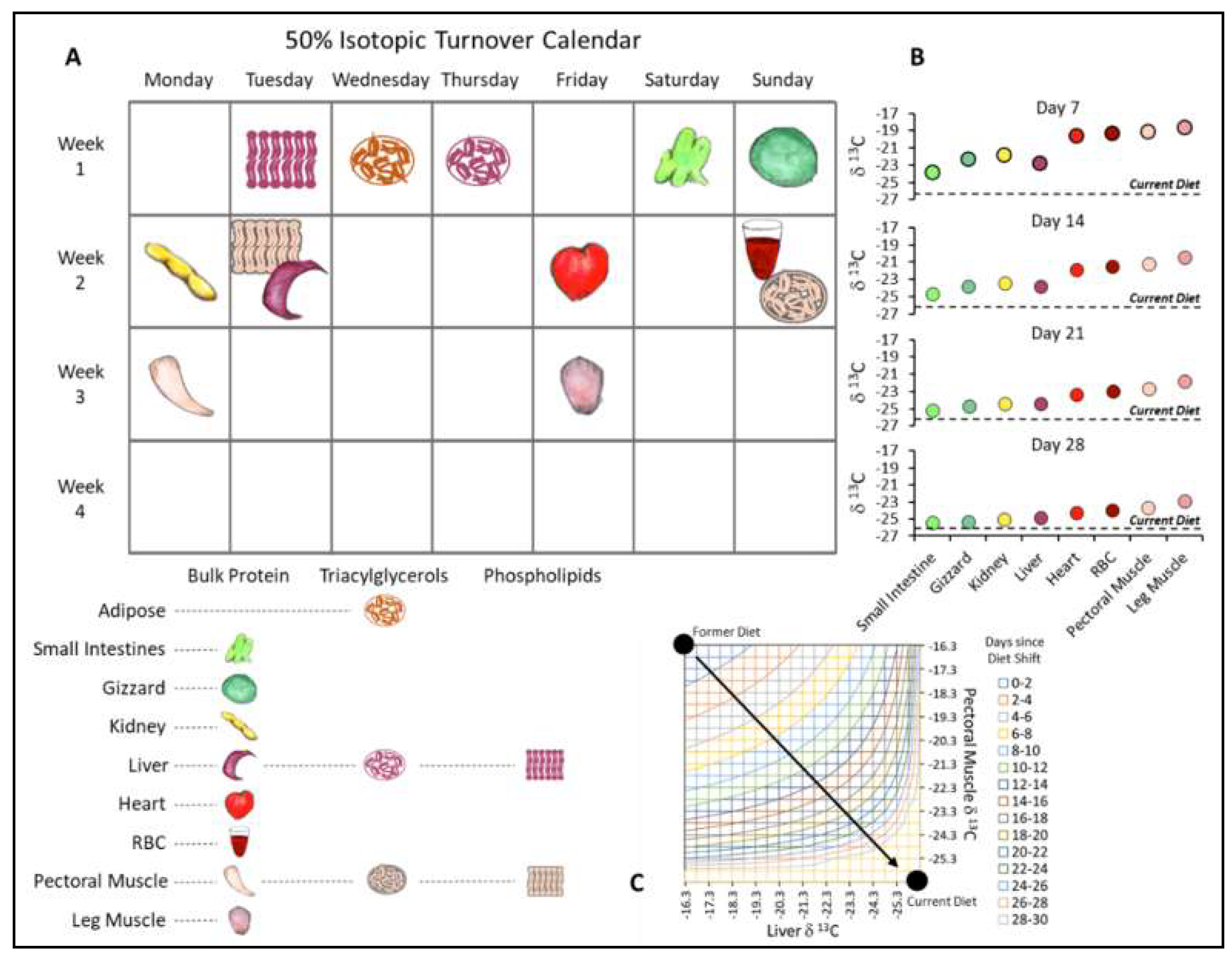 Diversity 11 00084 g002