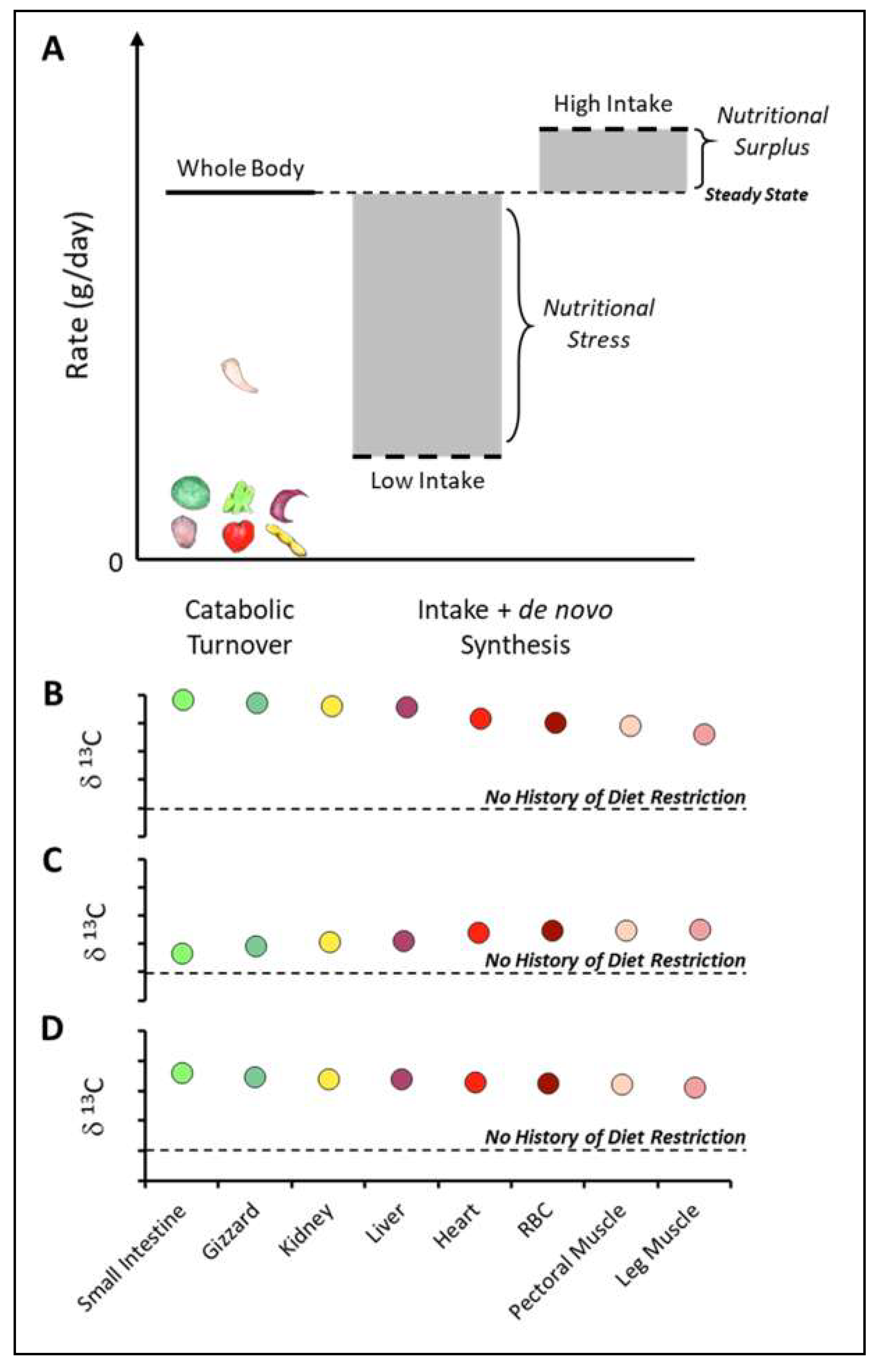 Diversity 11 00084 g003