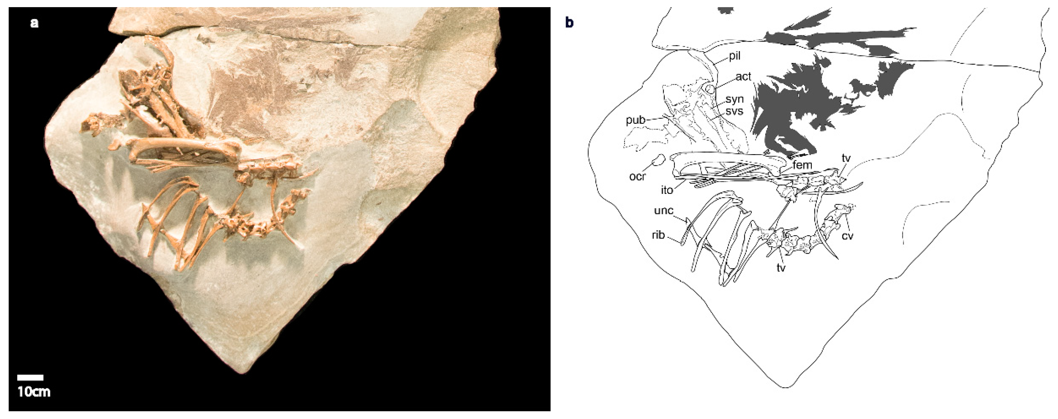 Diversity 11 00102 g005