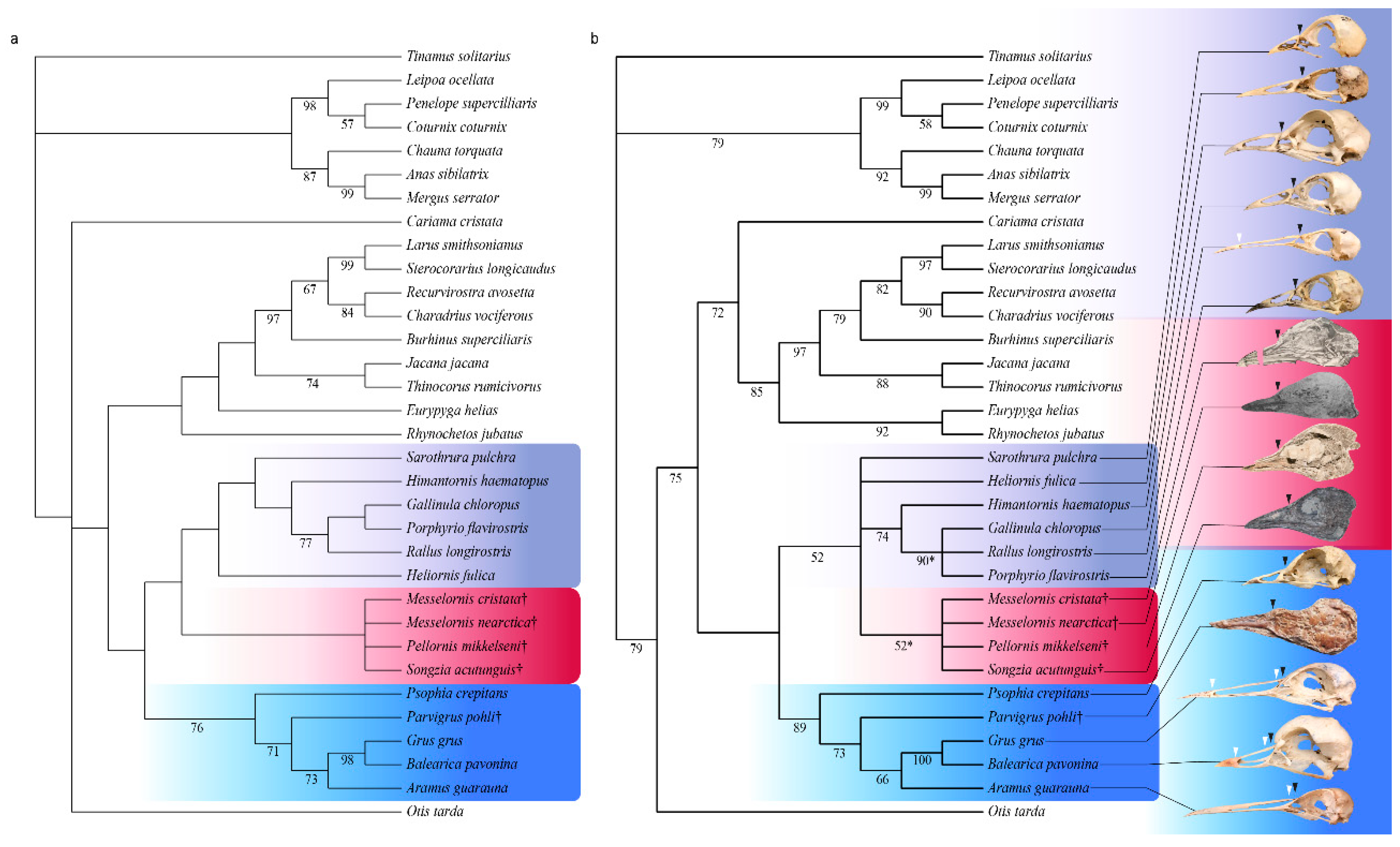 Diversity 11 00102 g006