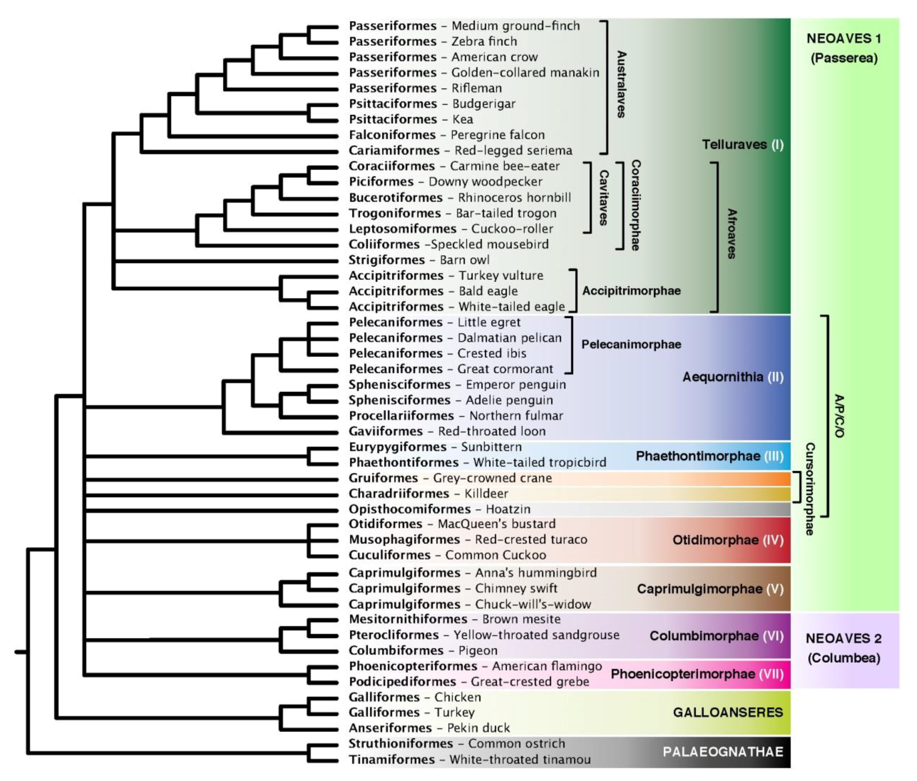 Diversity 11 00108 g001