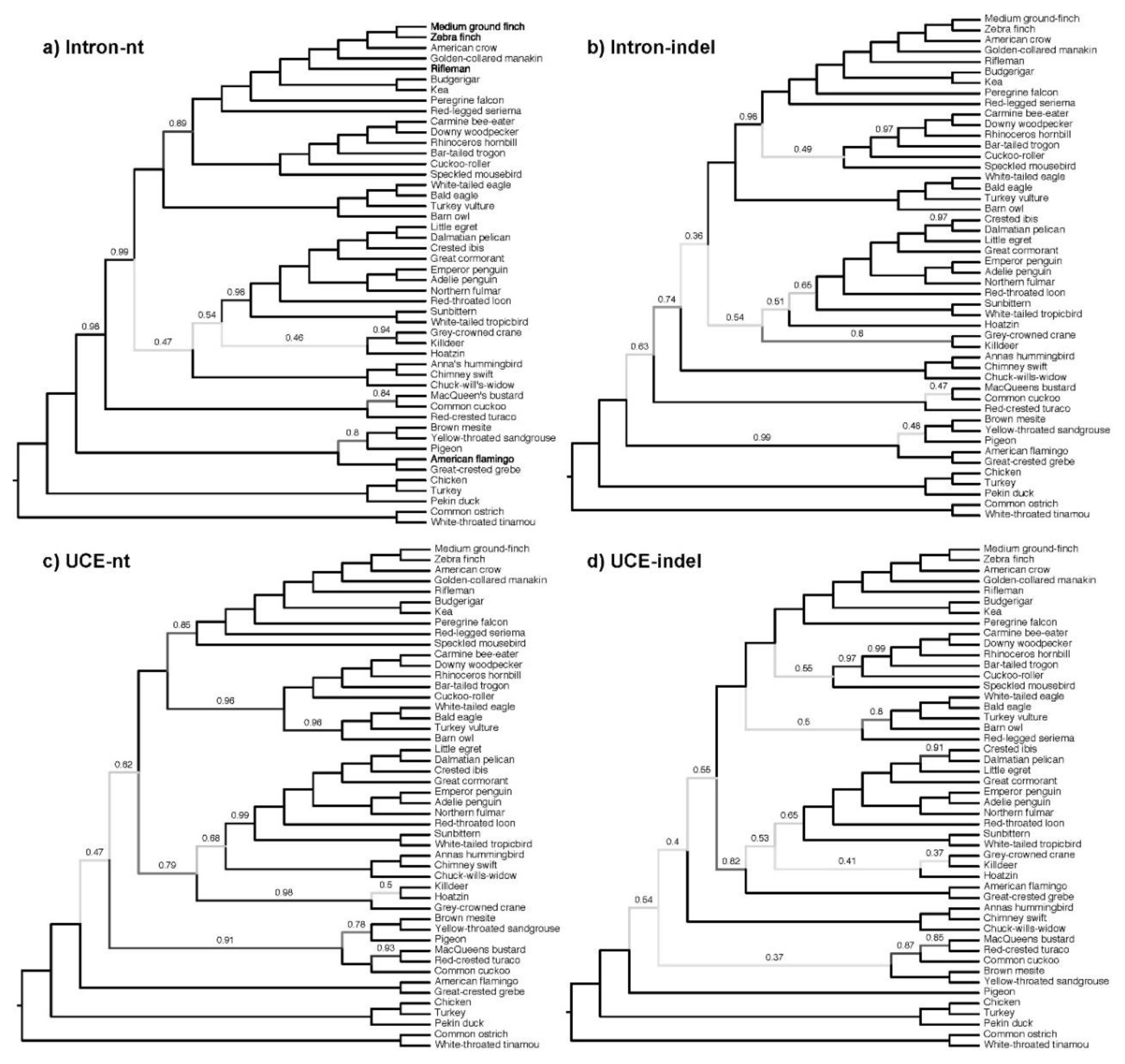 Diversity 11 00108 g008