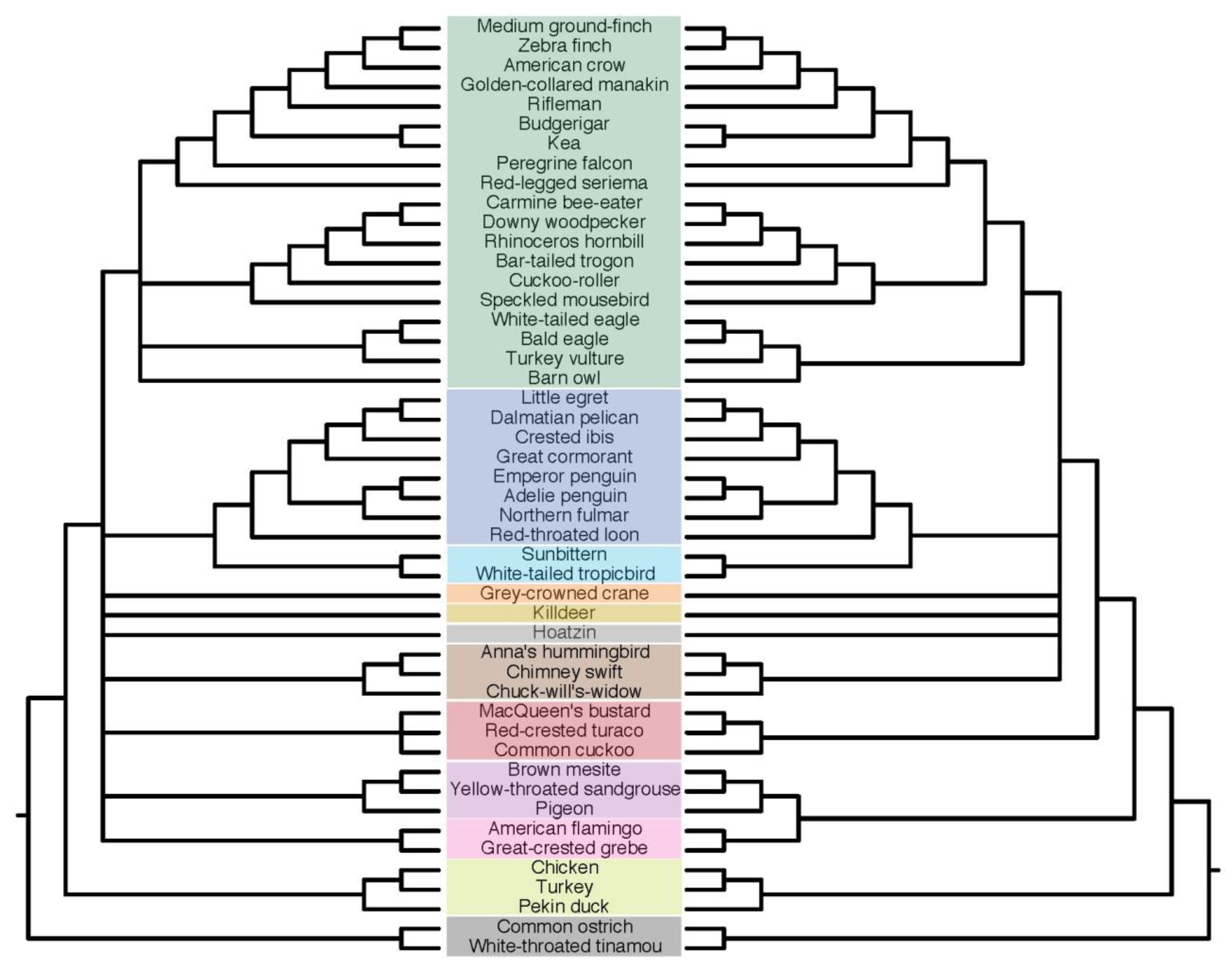 Diversity 11 00108 g012