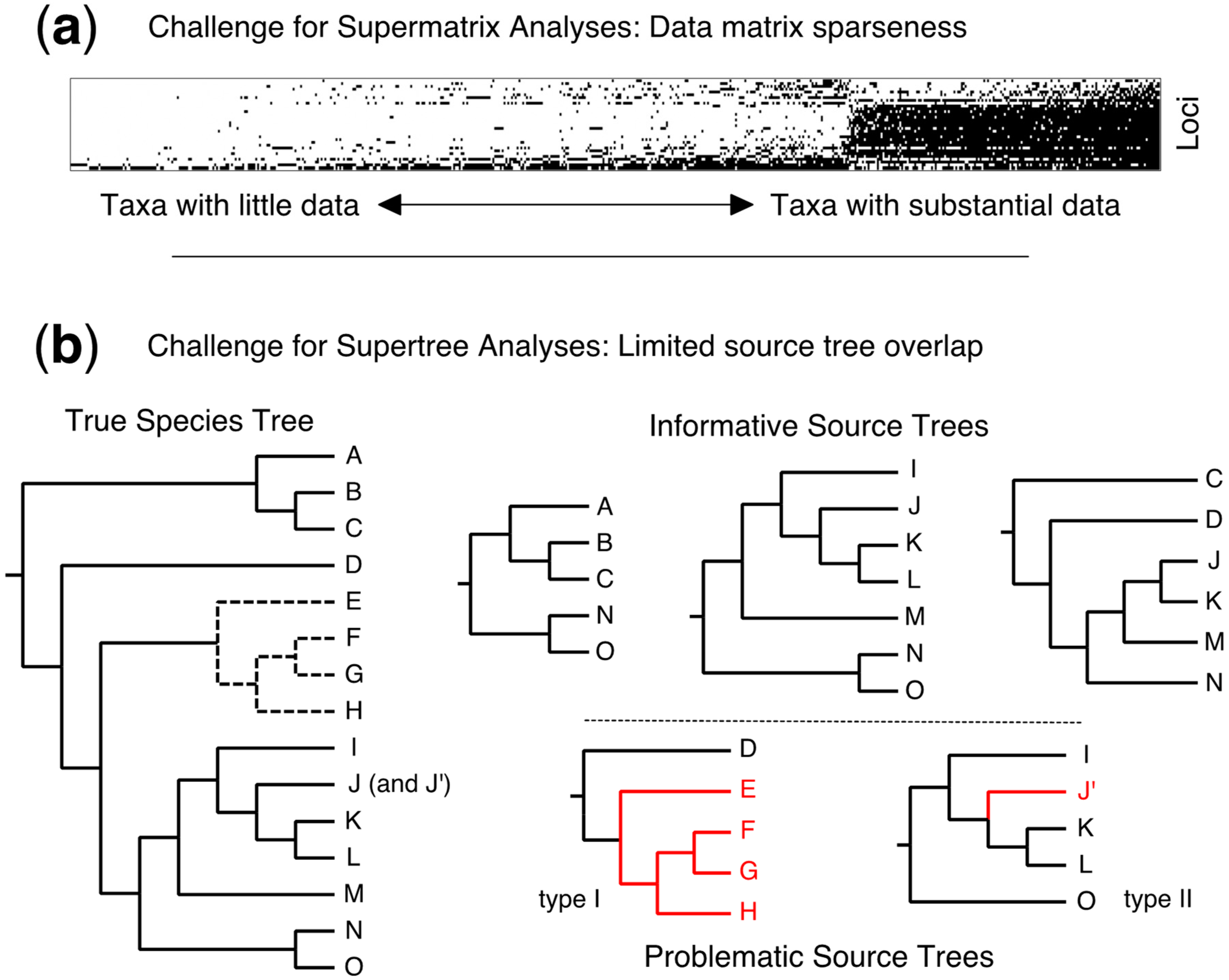 Diversity 11 00109 g001