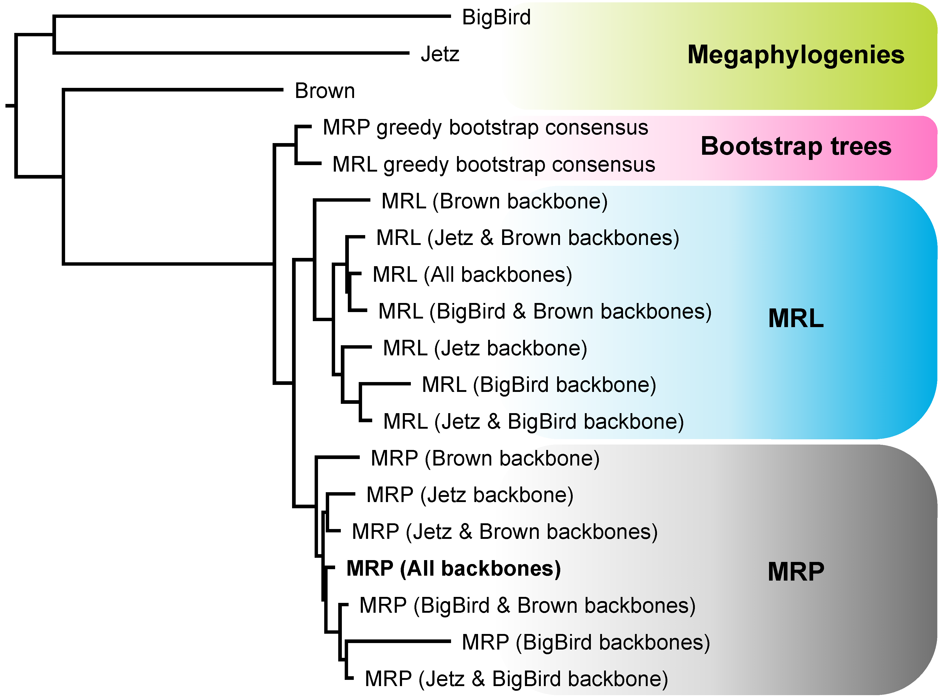 Diversity 11 00109 g004