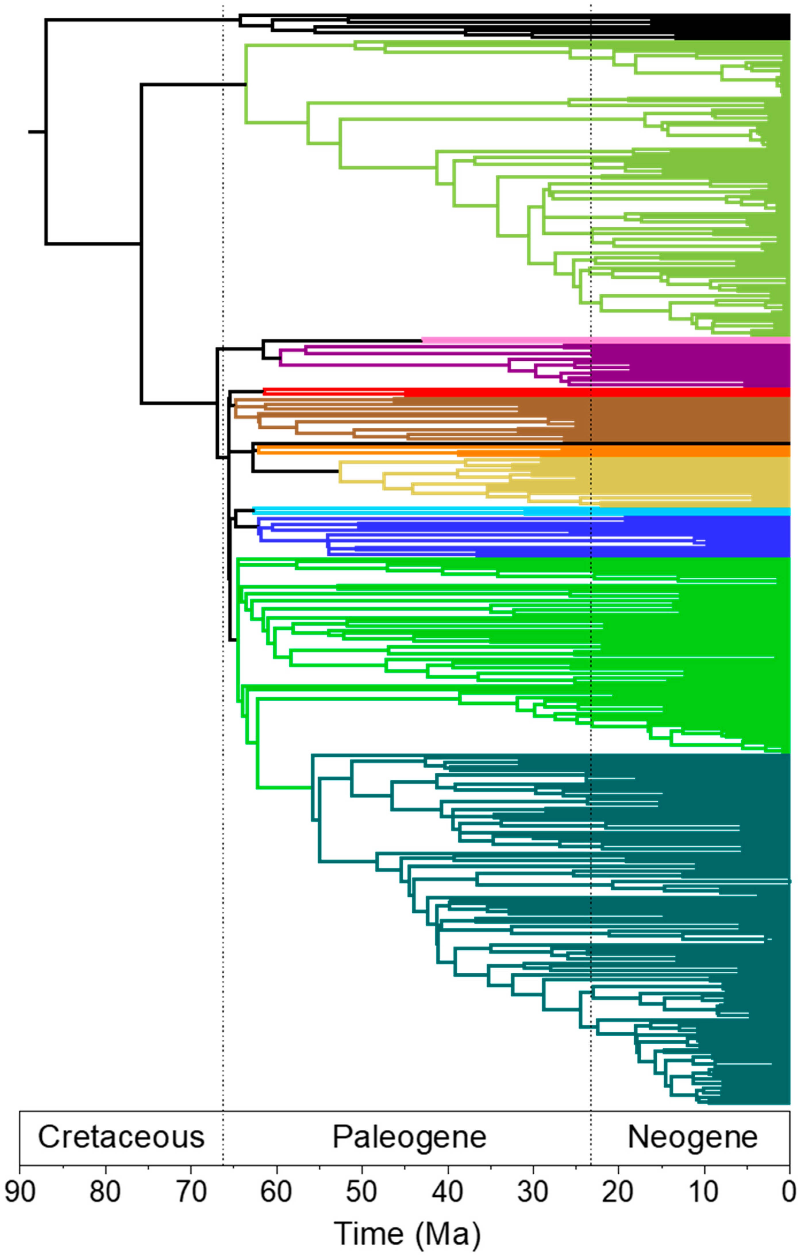 Diversity 11 00109 g006