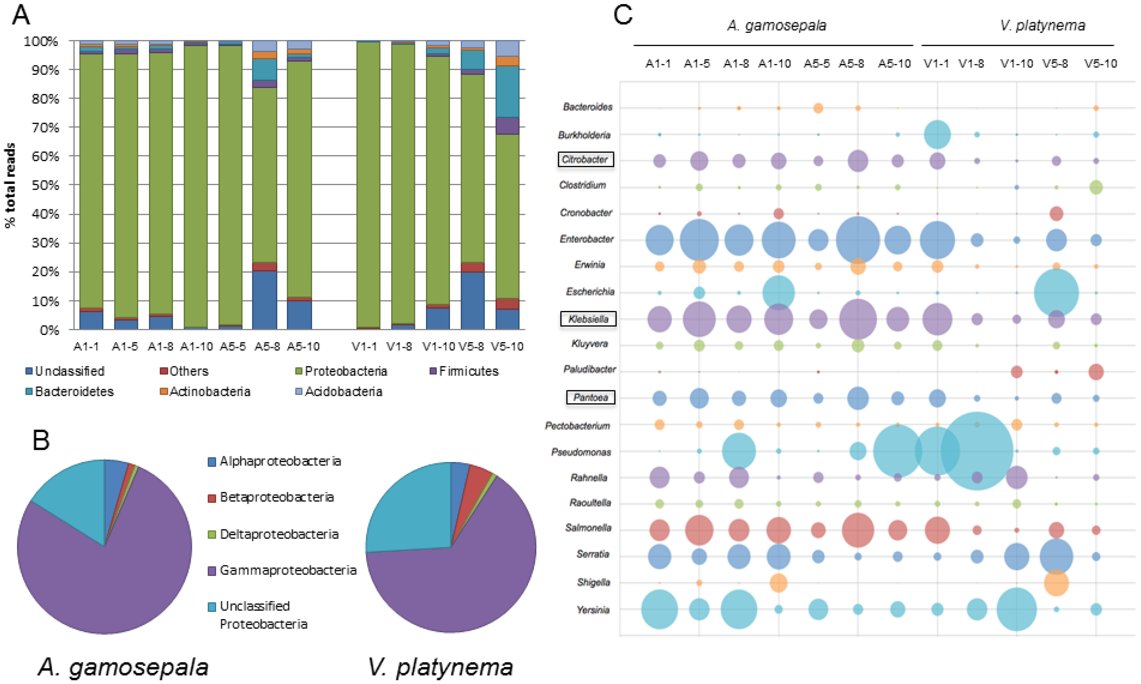 Diversity 11 00111 g005