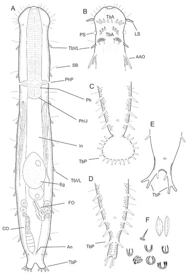 Diversity 11 00117 g002