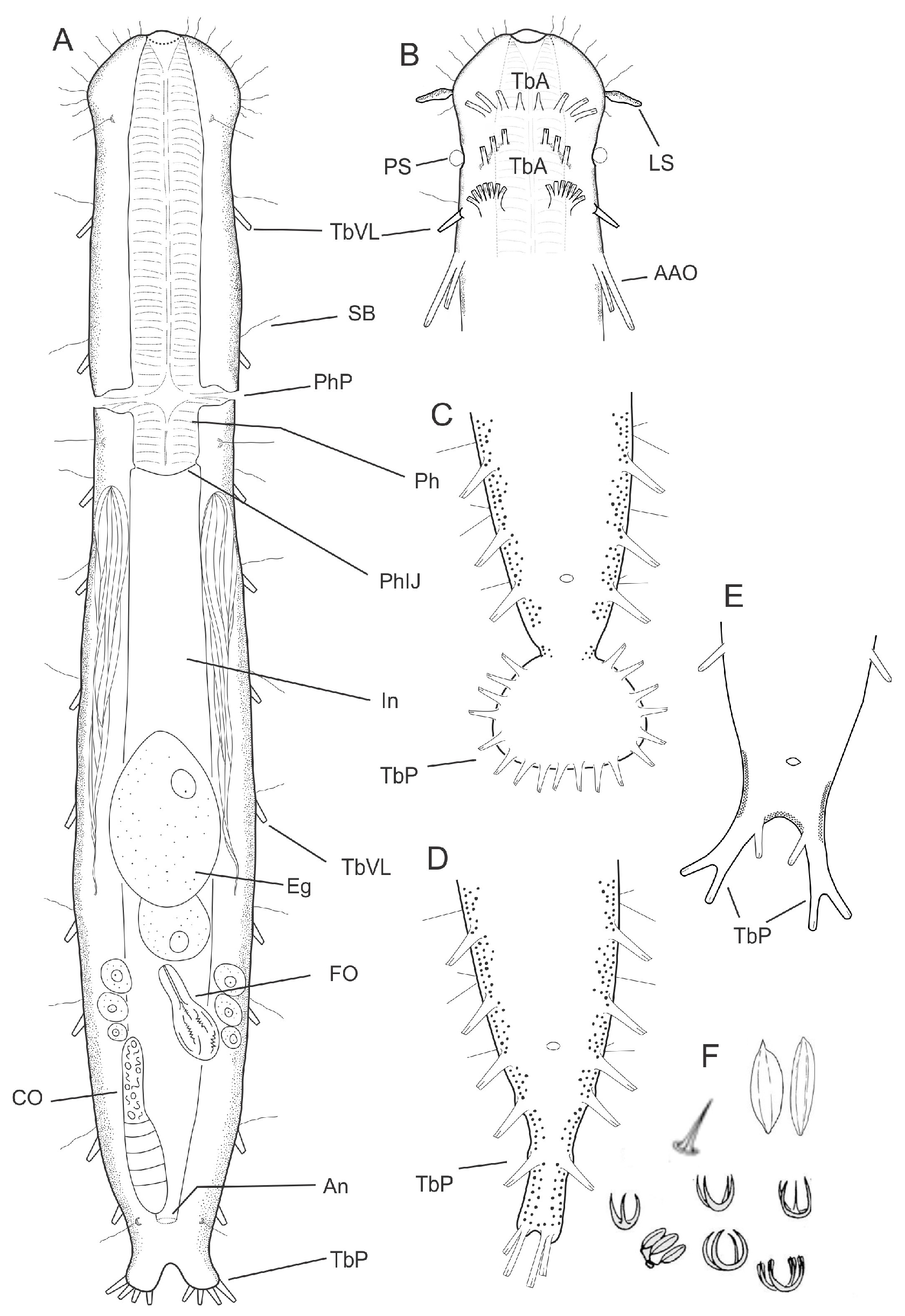Diversity 11 00117 g002