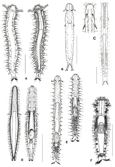 Diversity 11 00117 g006