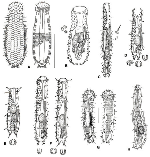 Diversity 11 00117 g009