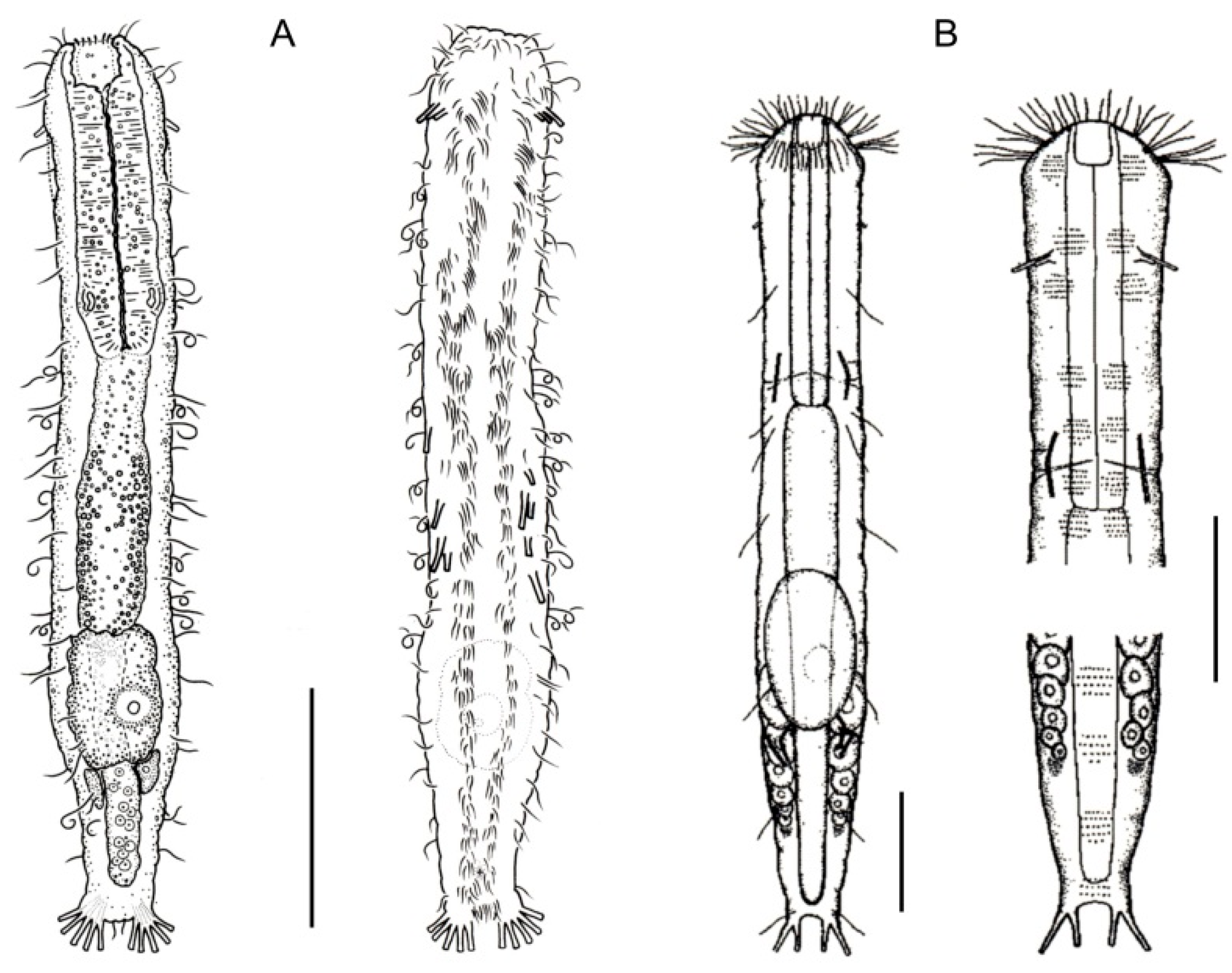Diversity 11 00117 g010