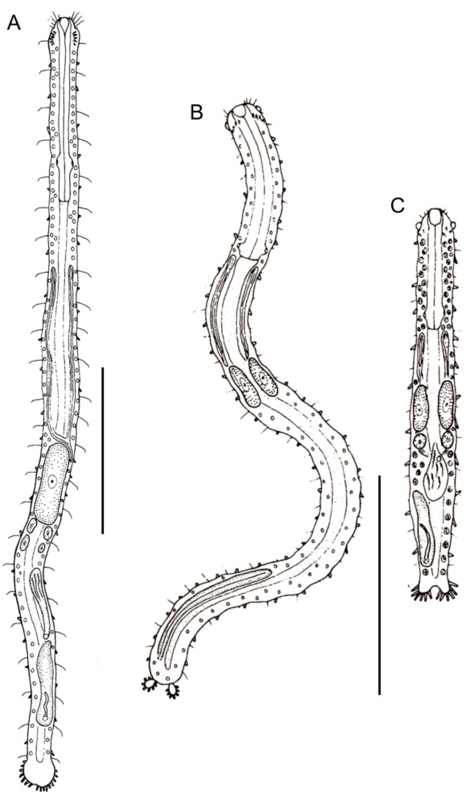 Diversity 11 00117 g012