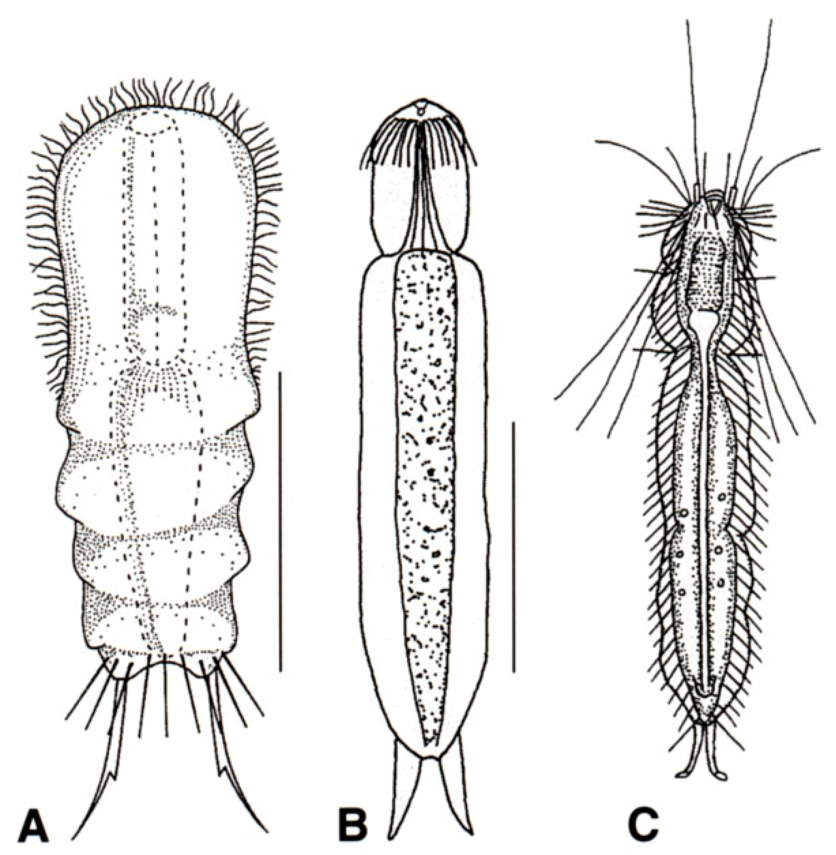 Diversity 11 00117 g015
