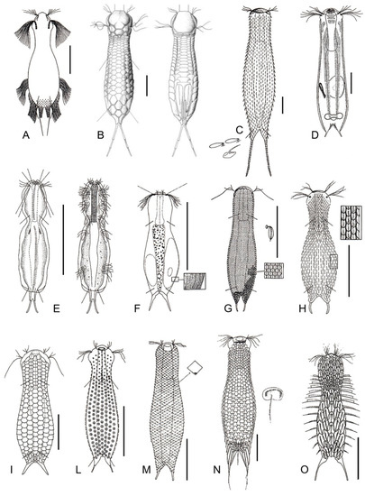 Diversity 11 00117 g016
