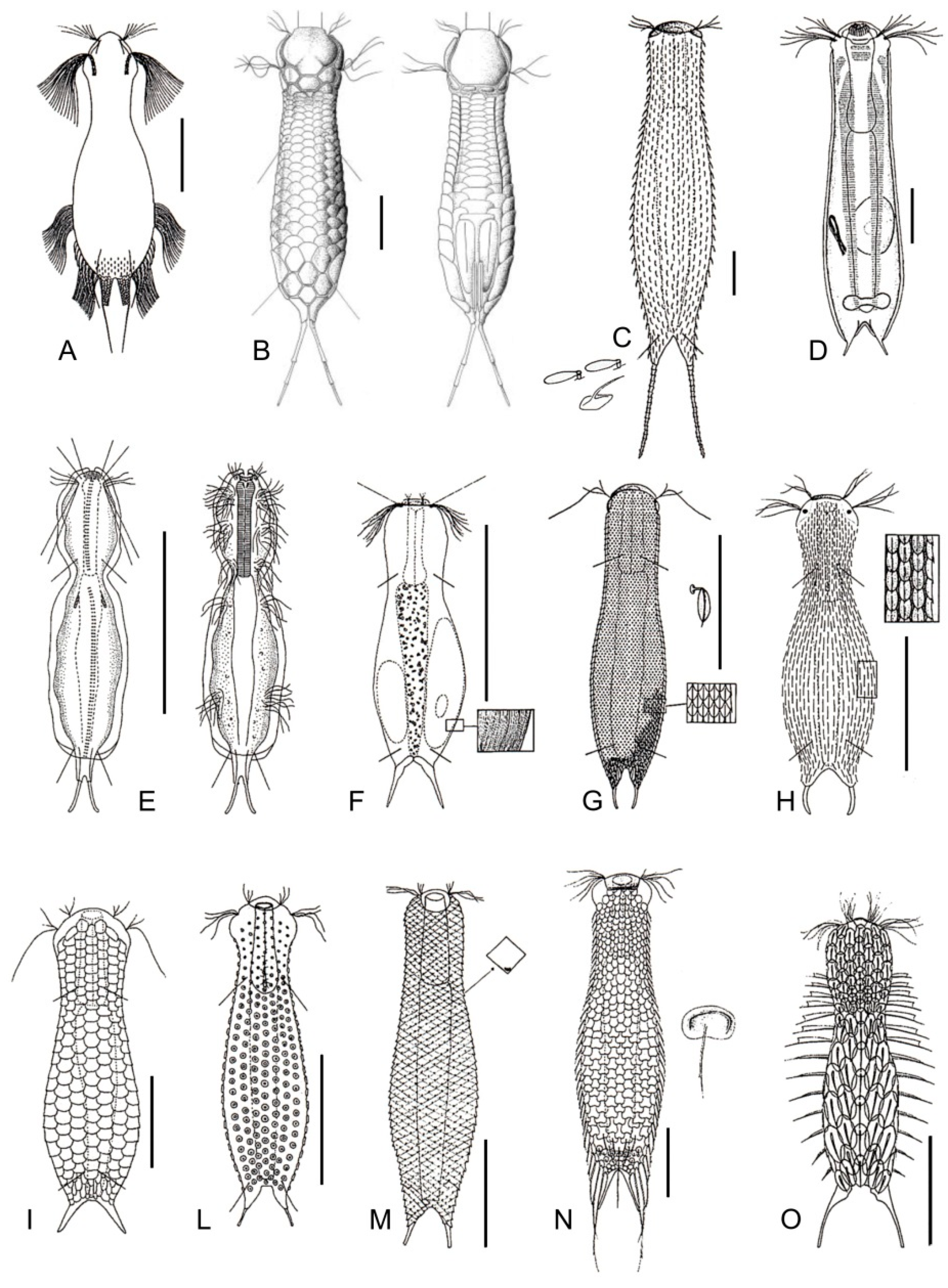 Diversity 11 00117 g016