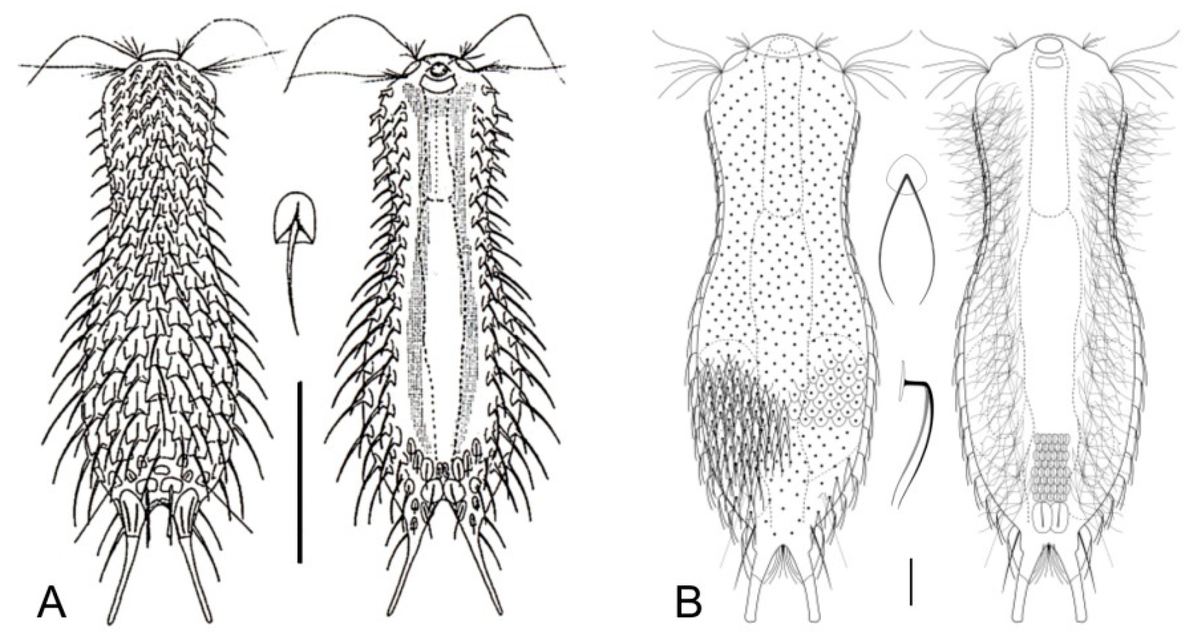Diversity 11 00117 g017