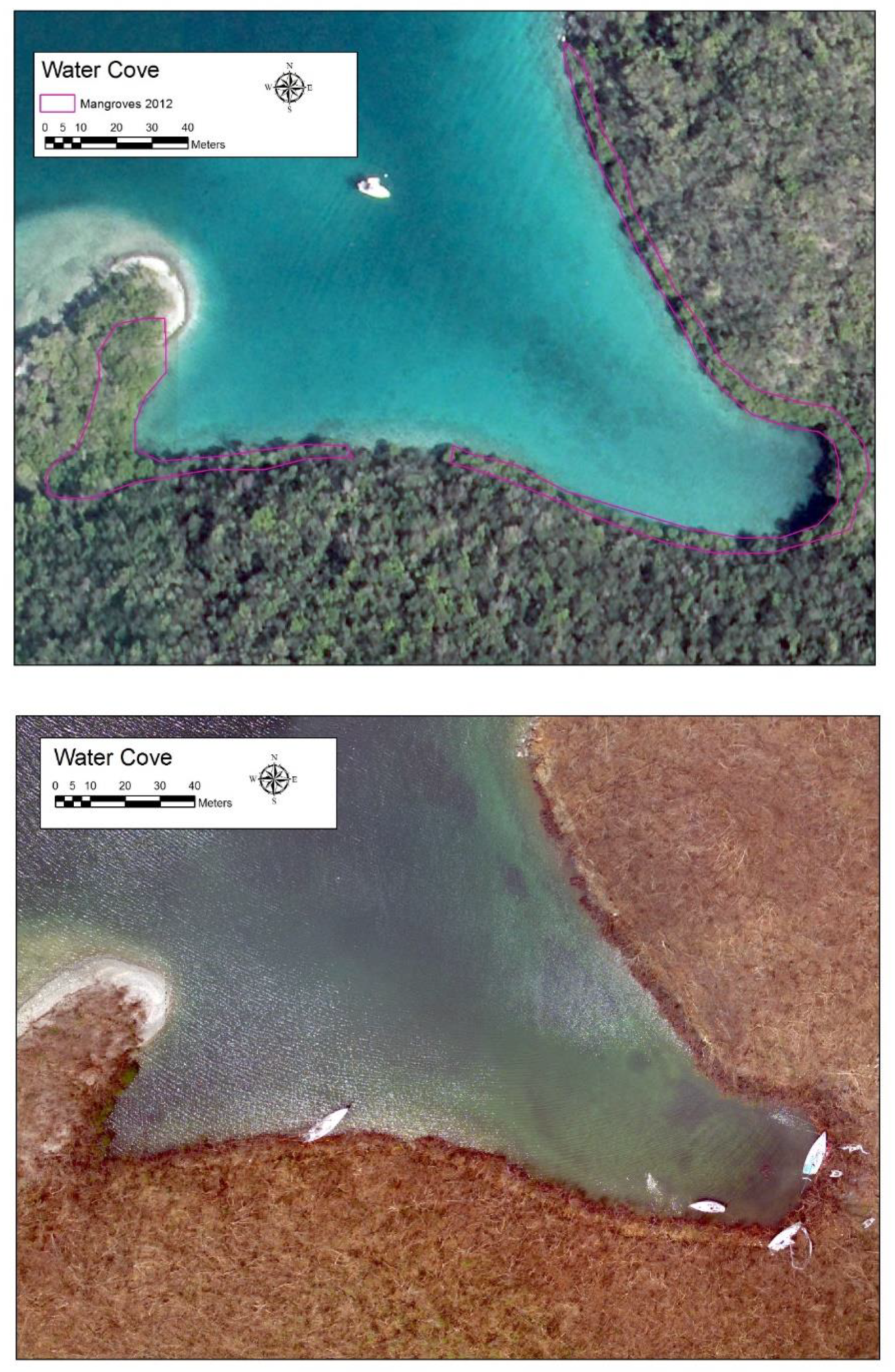 Diversity 11 00130 g004