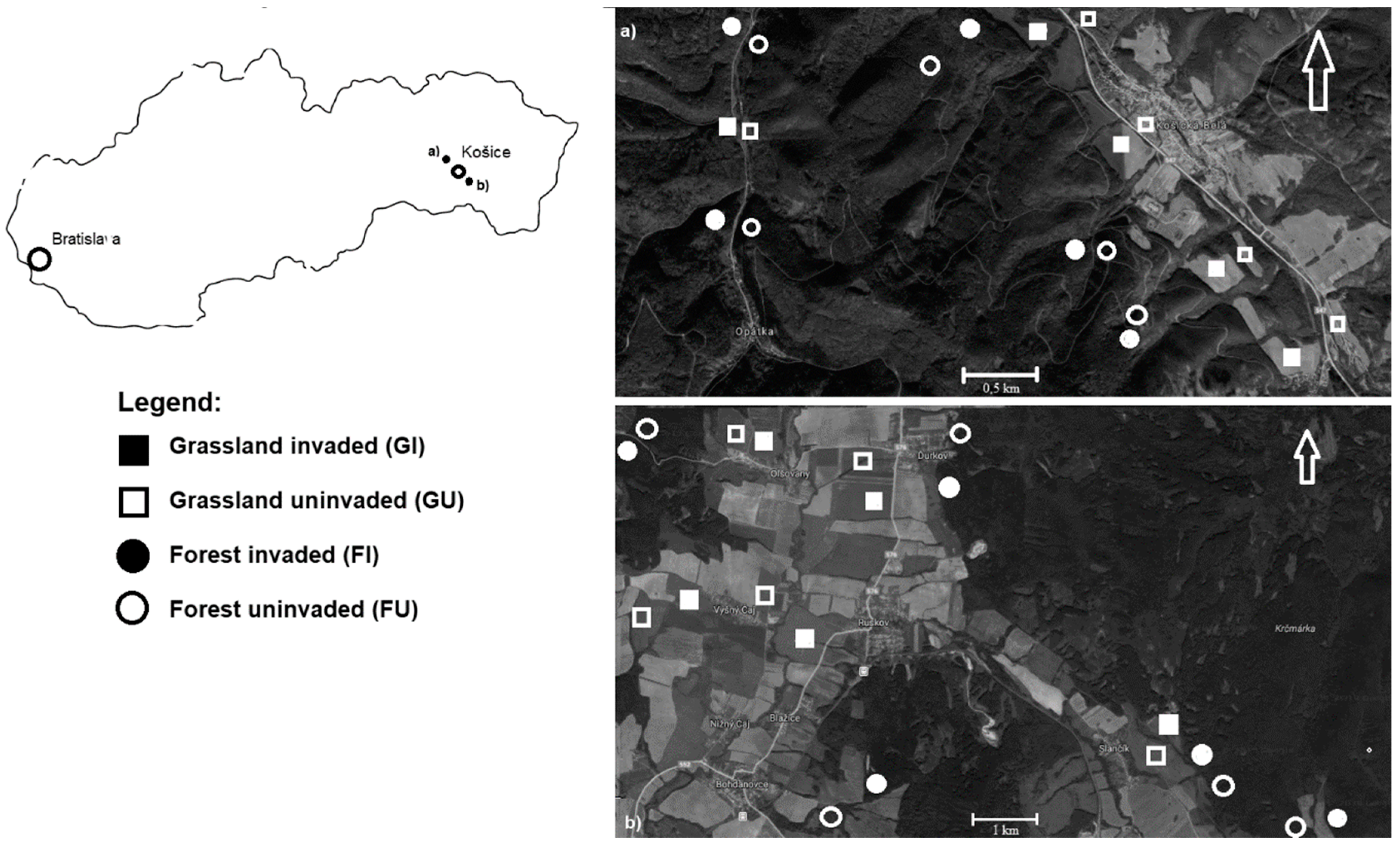 Diversity 11 00134 g001 Diversity 11 00134 g001