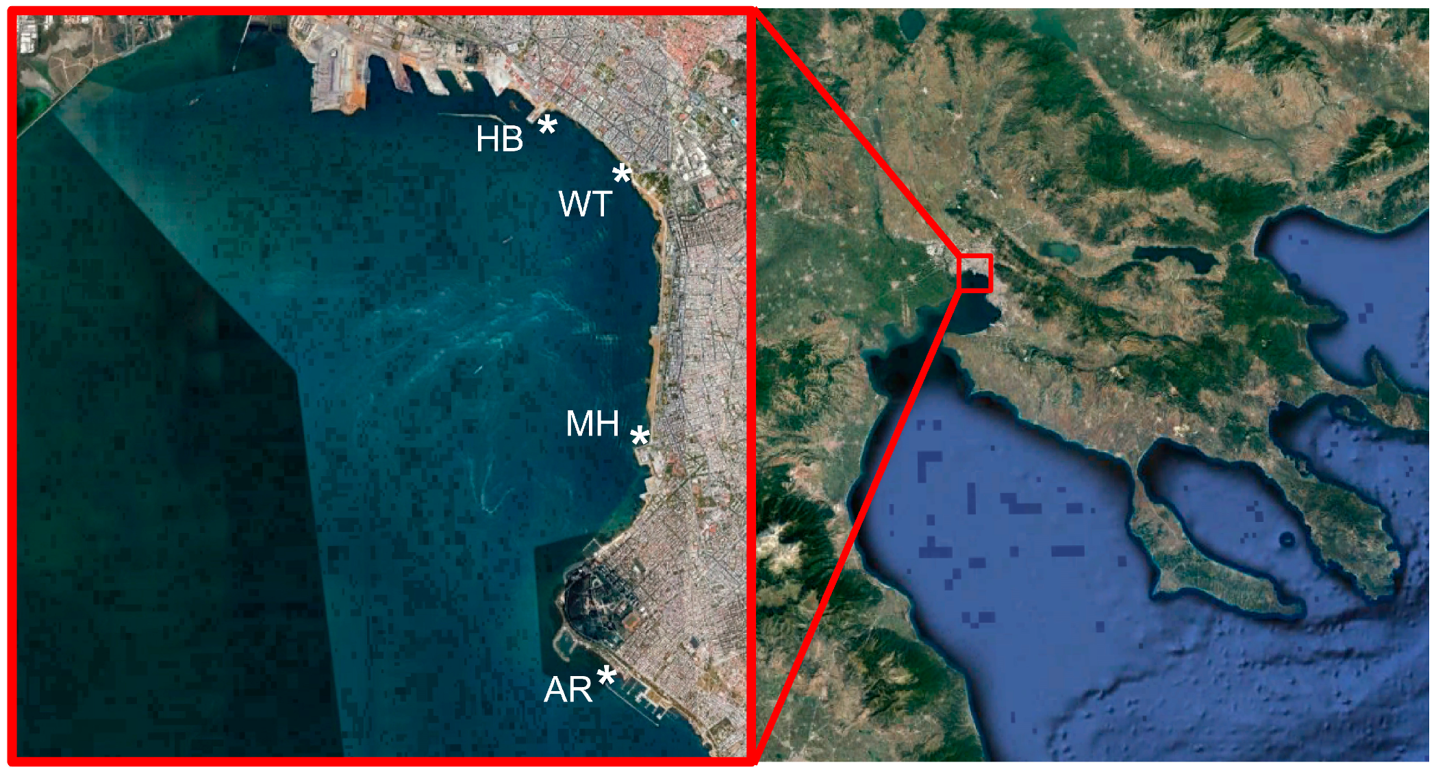 Diversity 11 00136 g001 Diversity 11 00136 g001