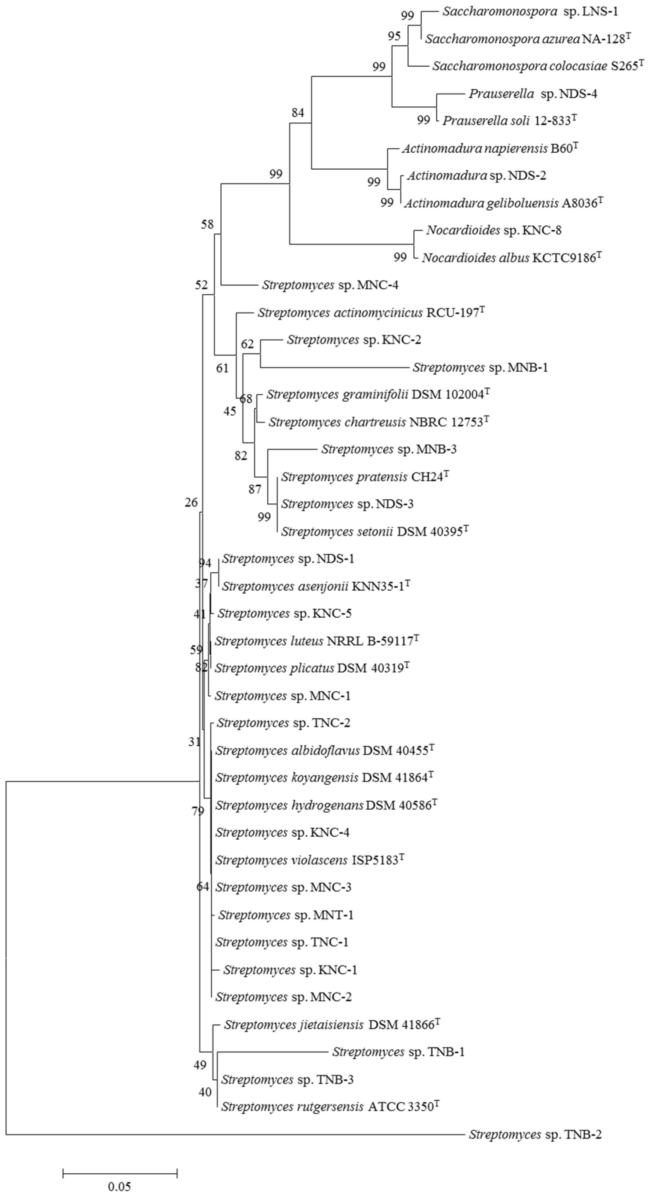 Diversity 11 00139 g001
