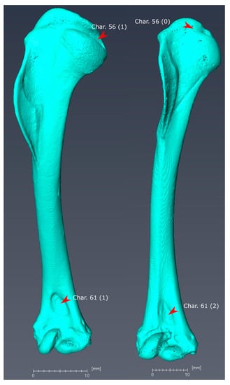 Diversity 11 00143 g0a1