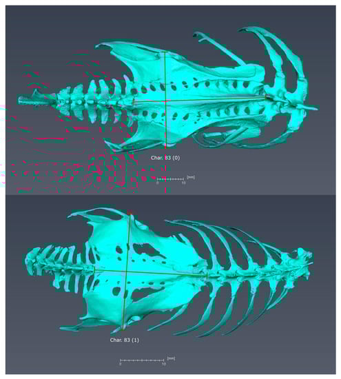 Diversity 11 00143 g0a2