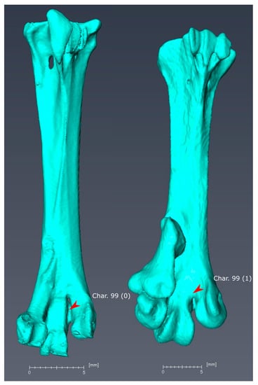 Diversity 11 00143 g0a3