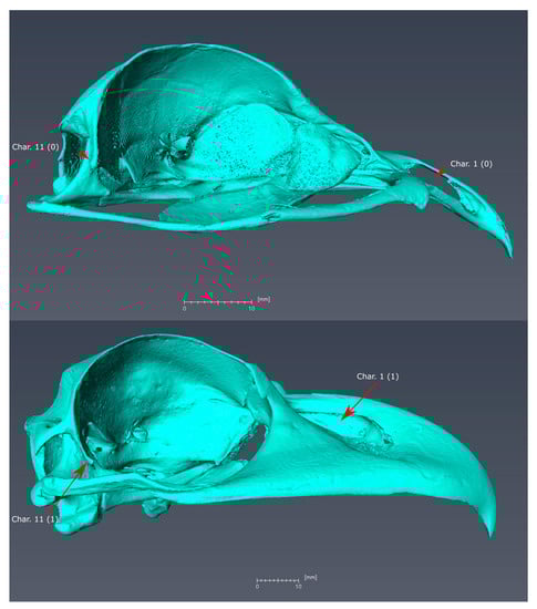 Diversity 11 00143 g0a4
