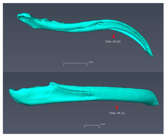 Diversity 11 00143 g0a6