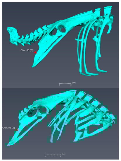 Diversity 11 00143 g0a8
