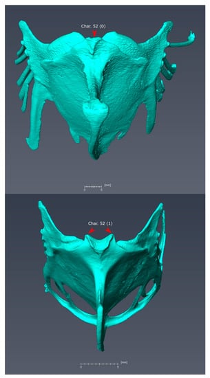 Diversity 11 00143 g0a9