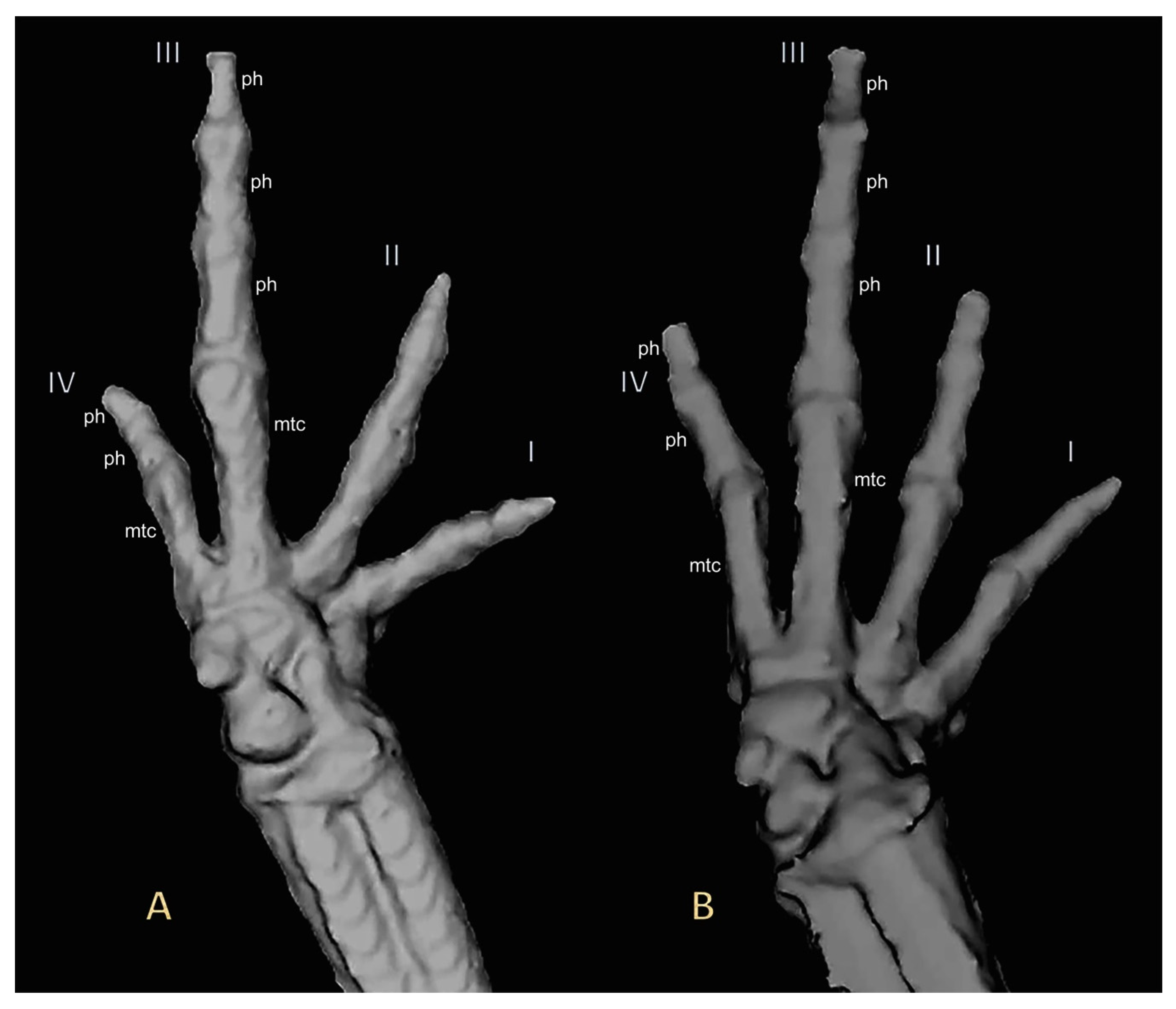 Diversity 11 00145 g007