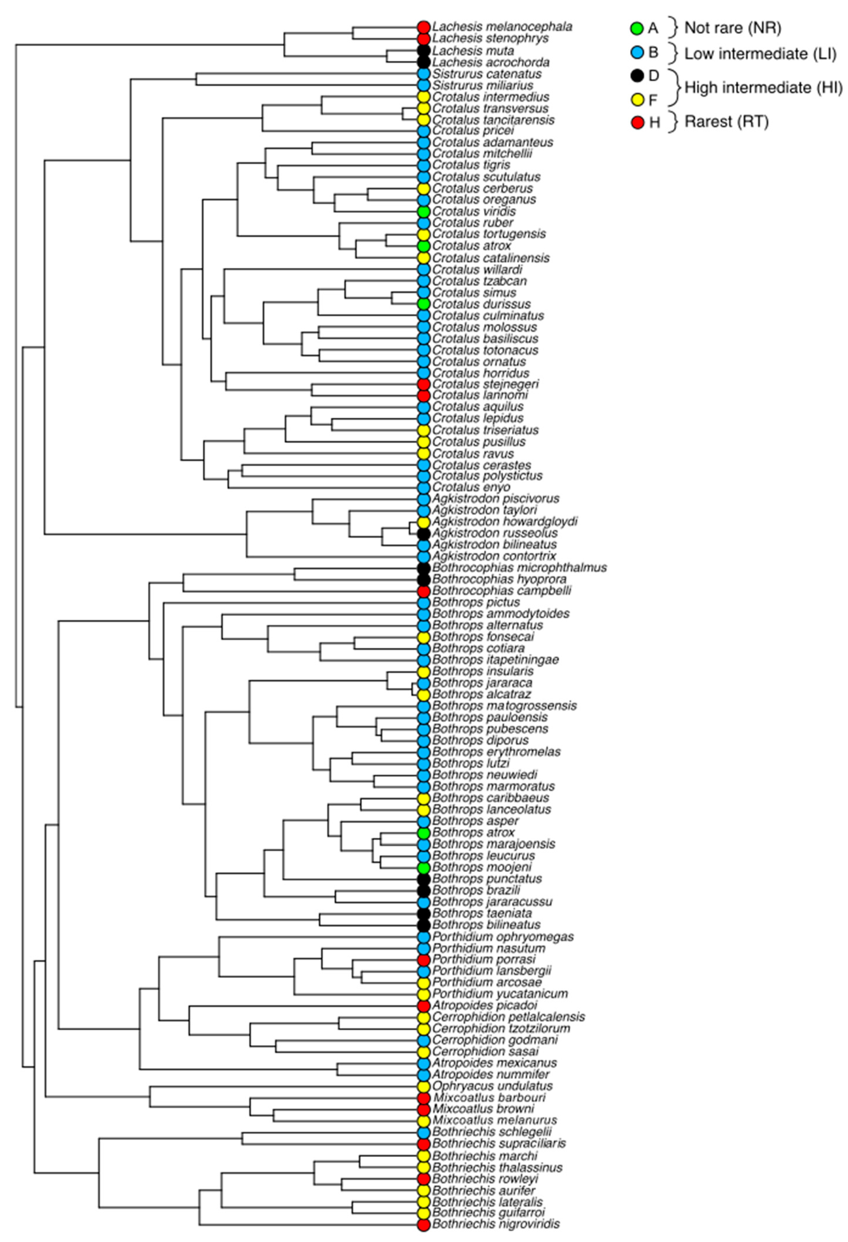 Diversity 11 00147 g003 Diversity 11 00147 g003