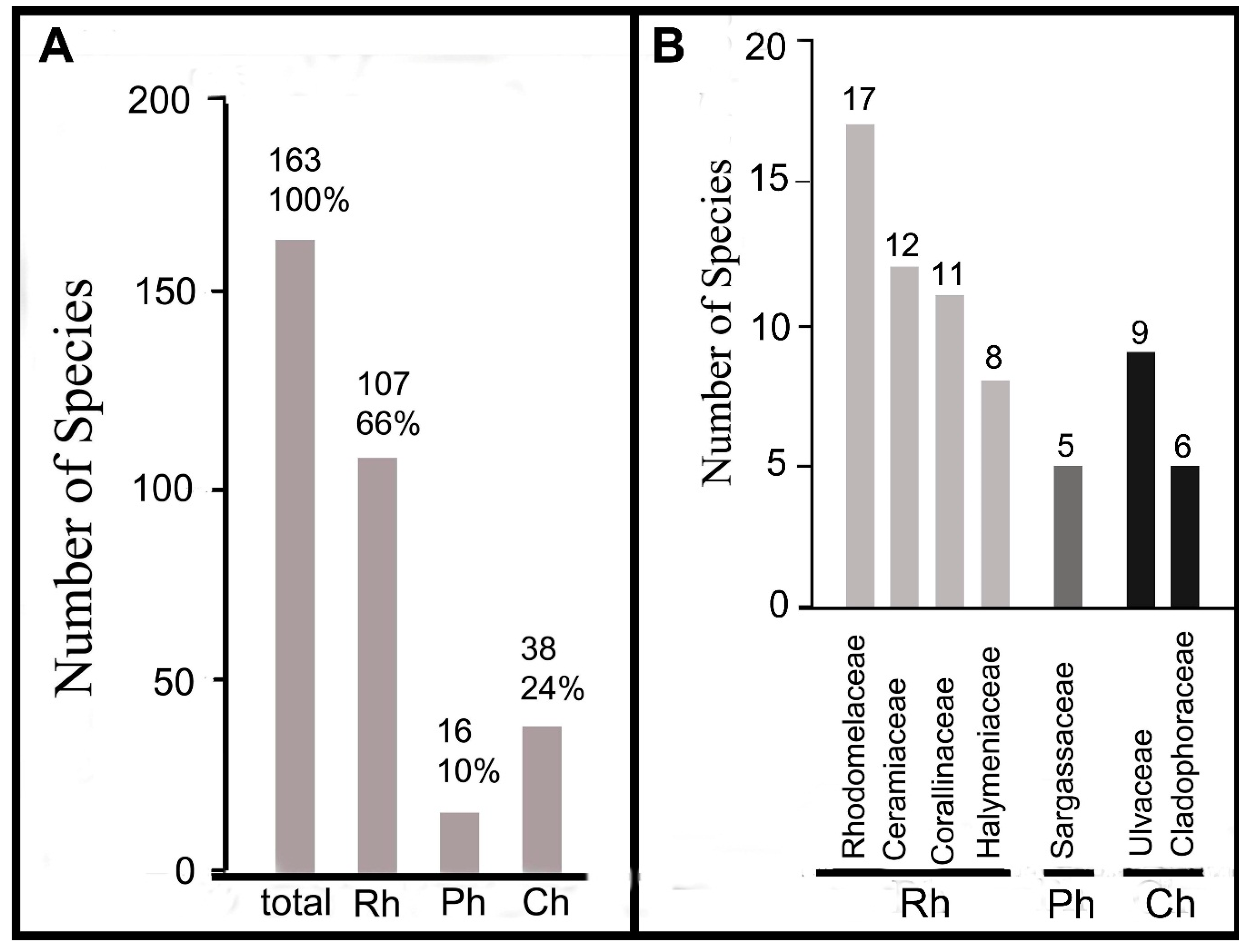 Diversity 11 00158 g005