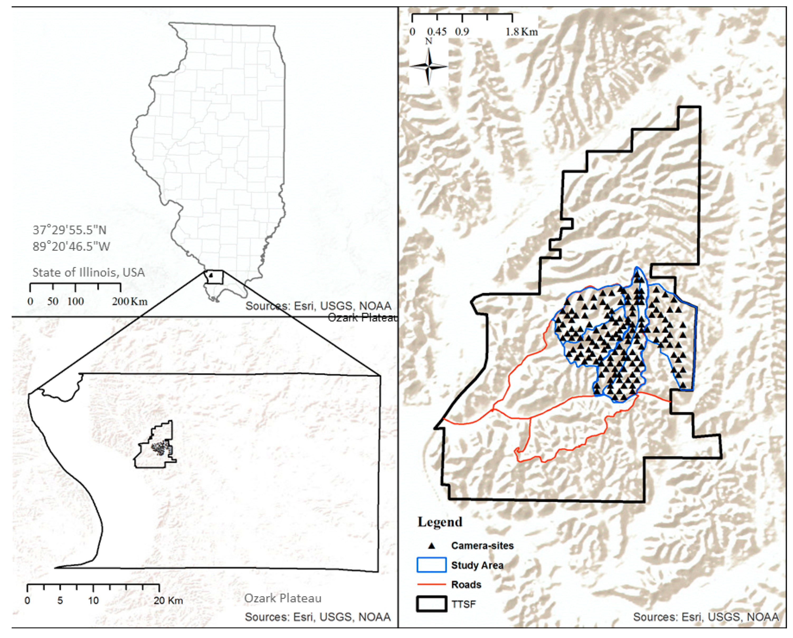 Diversity 11 00160 g001 Diversity 11 00160 g001