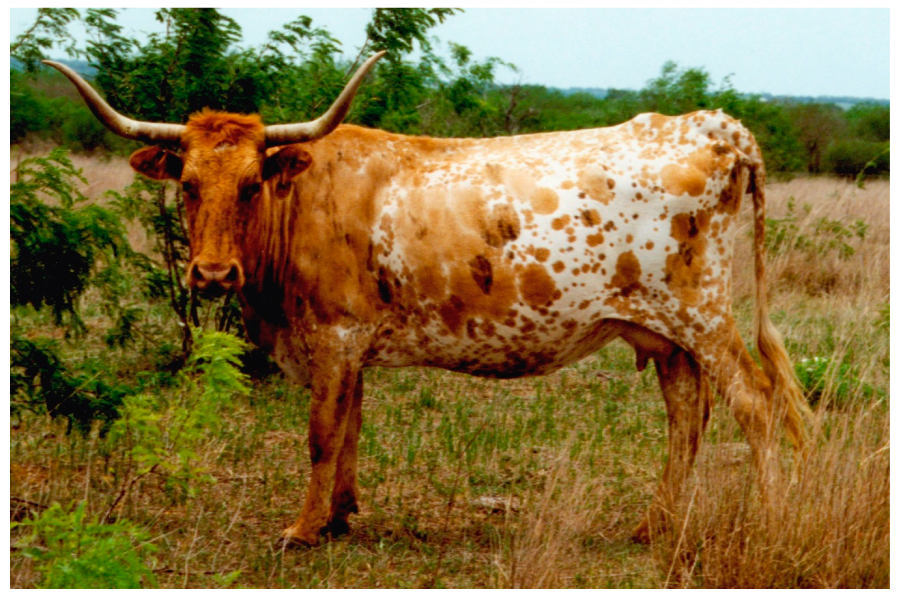 Diversity 11 00177 g002