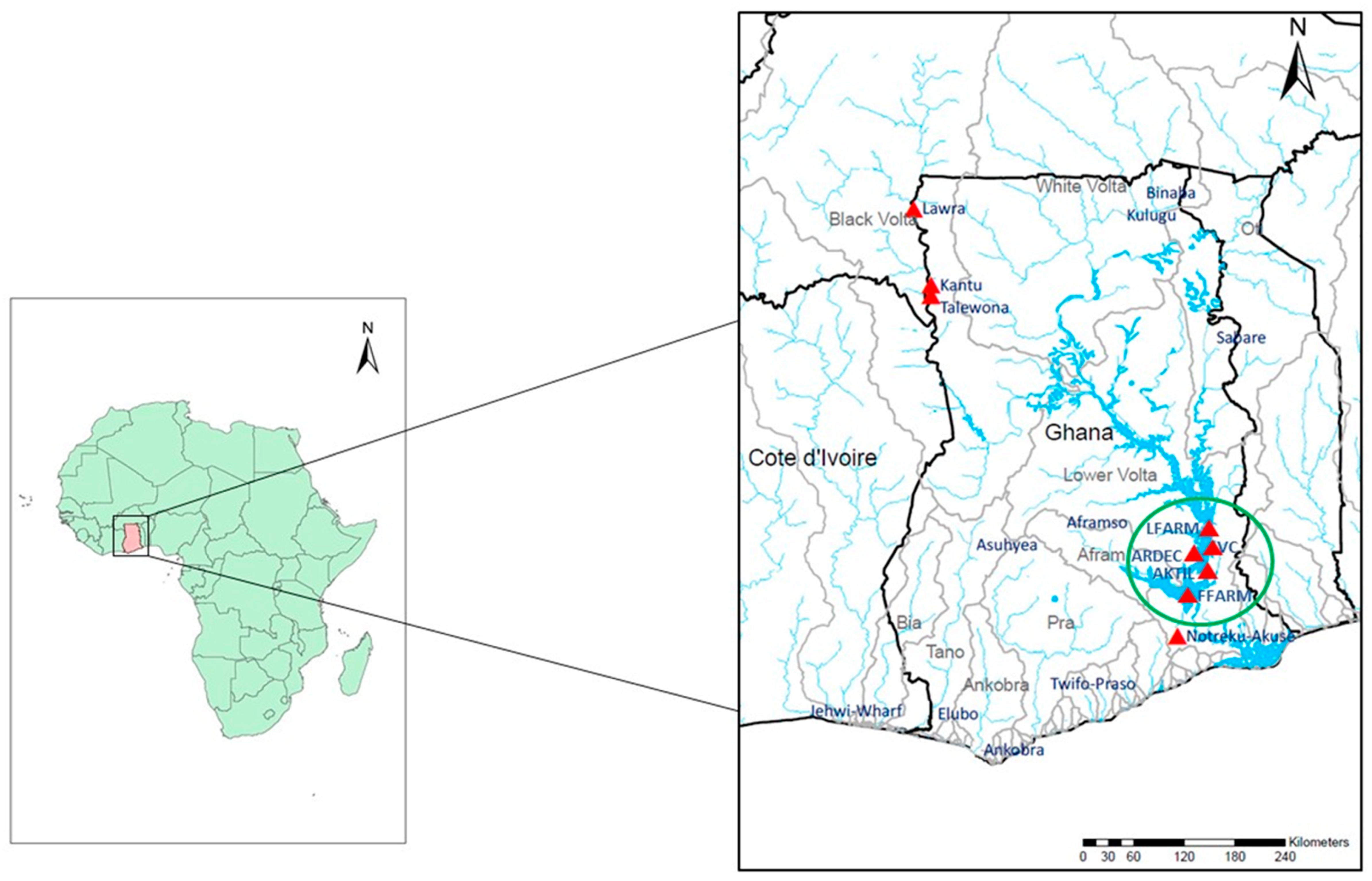 Diversity 11 00188 g001