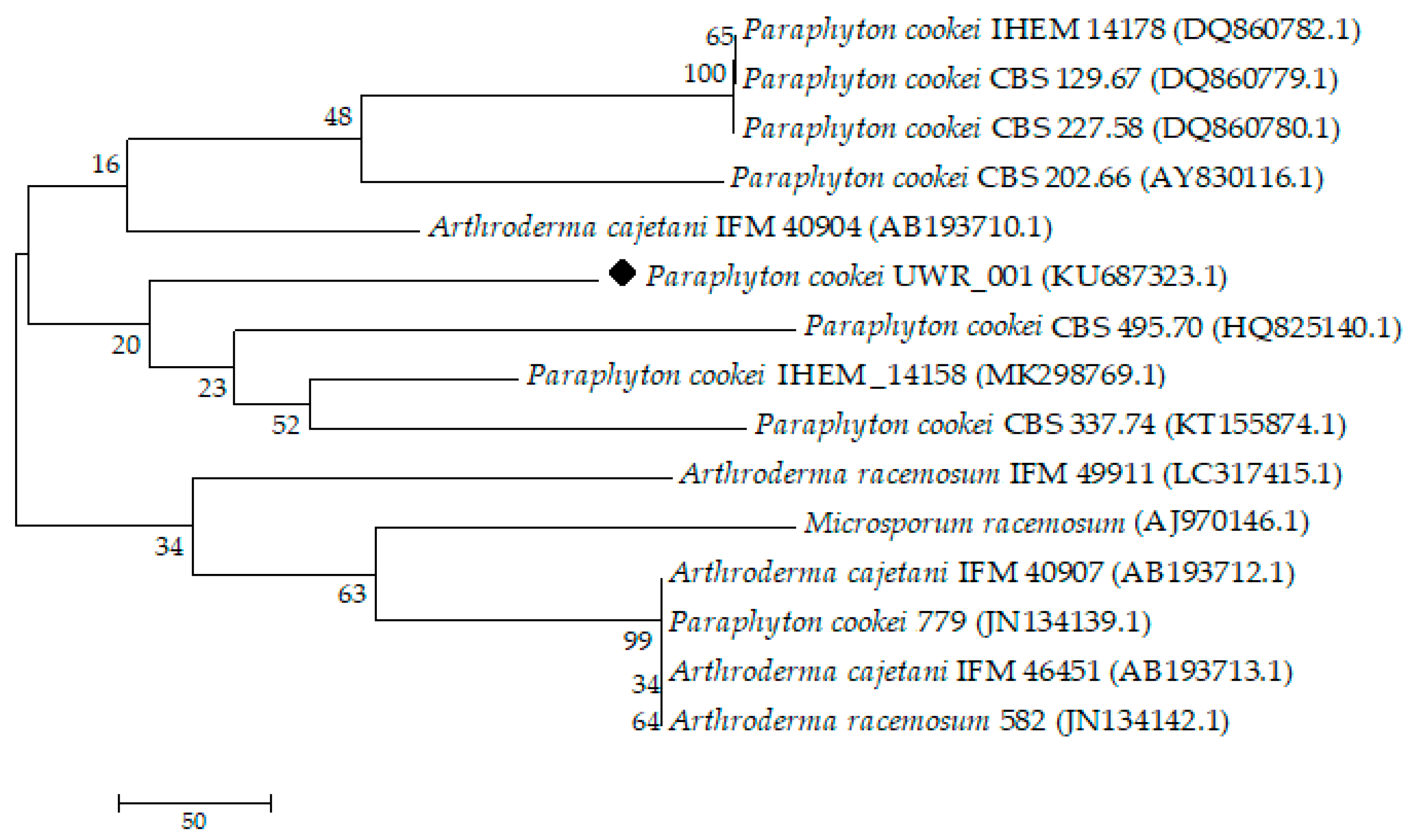 Diversity 11 00191 g003