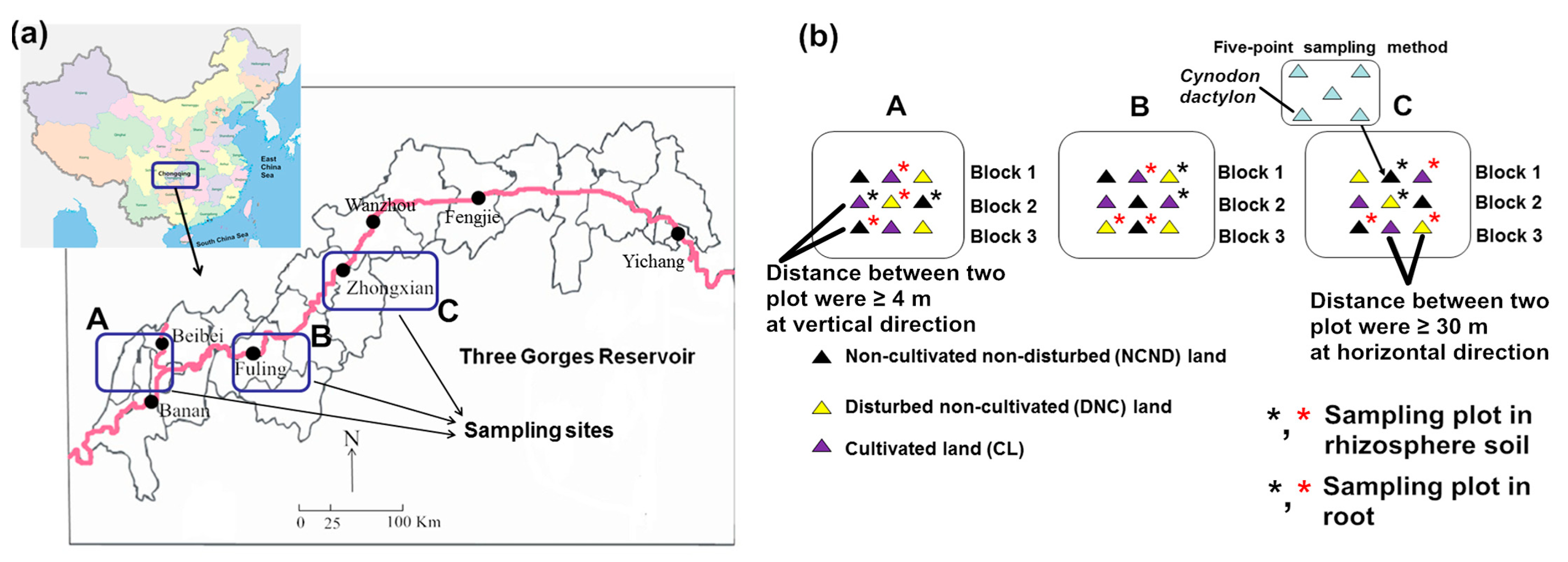 Diversity 11 00197 g001 Diversity 11 00197 g001