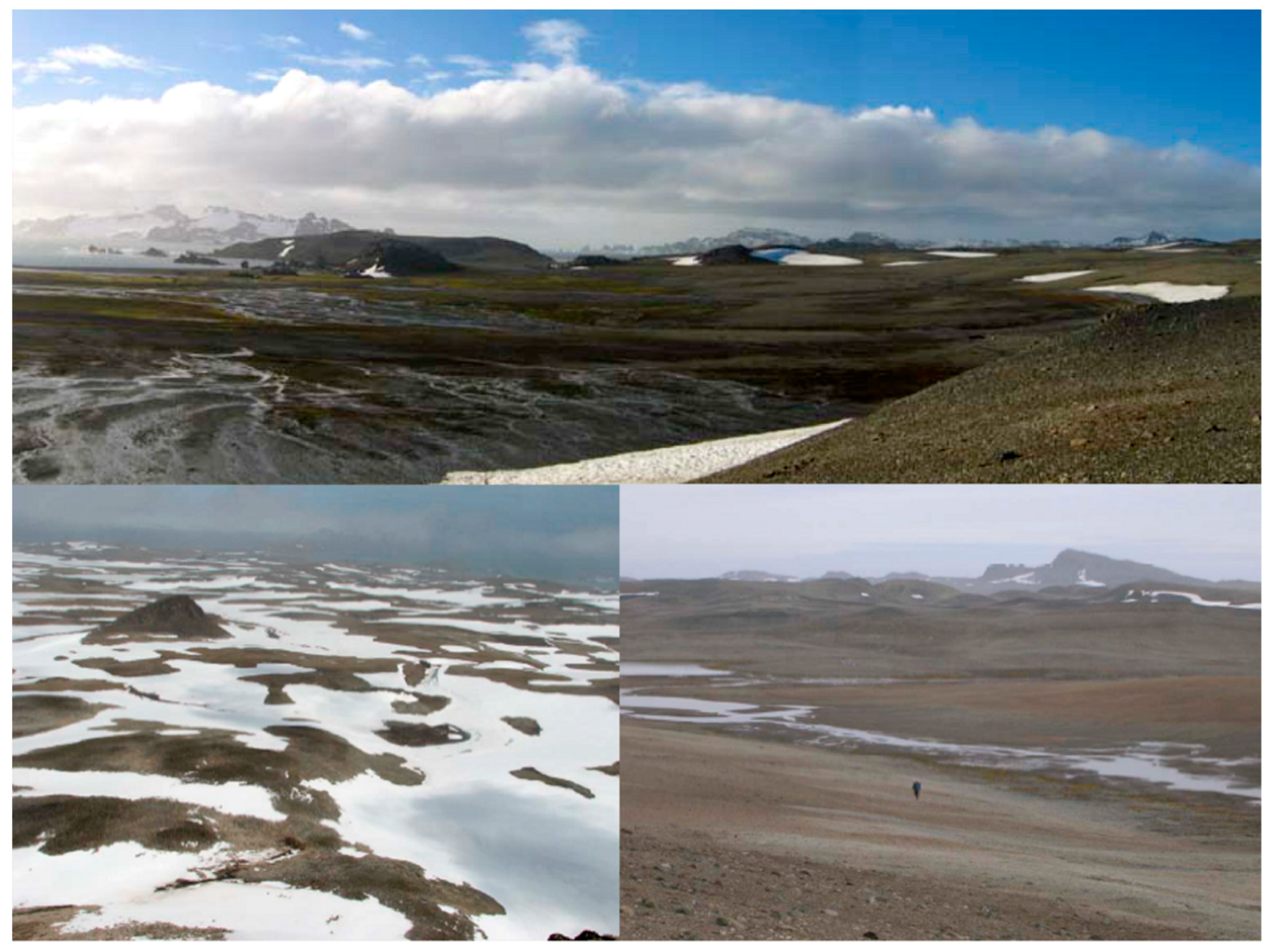 Diversity 11 00201 g003