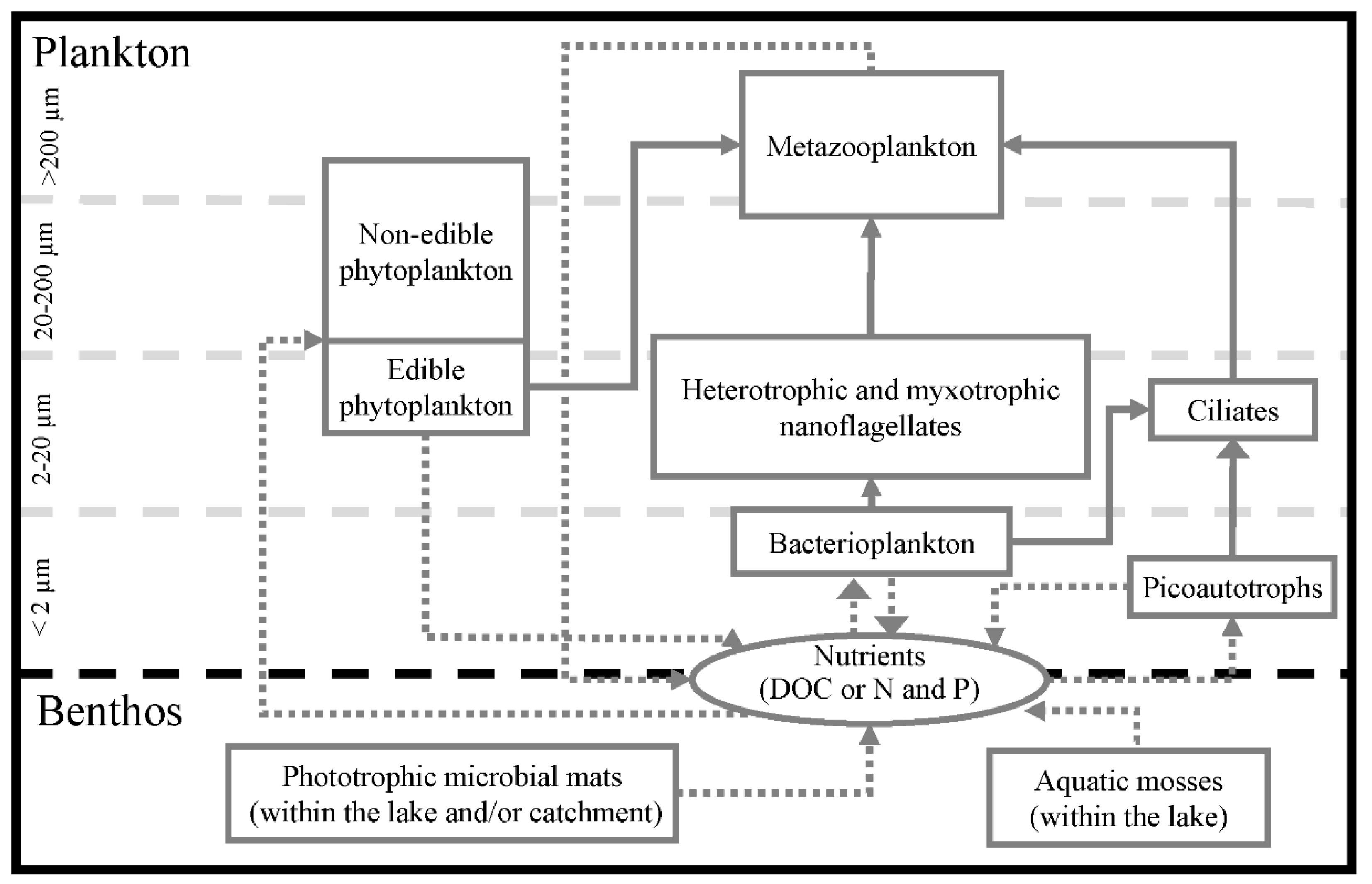 Diversity 11 00201 g009